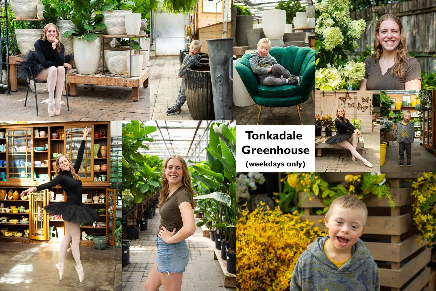 Tonkadale Greenhouse, Minnetonka