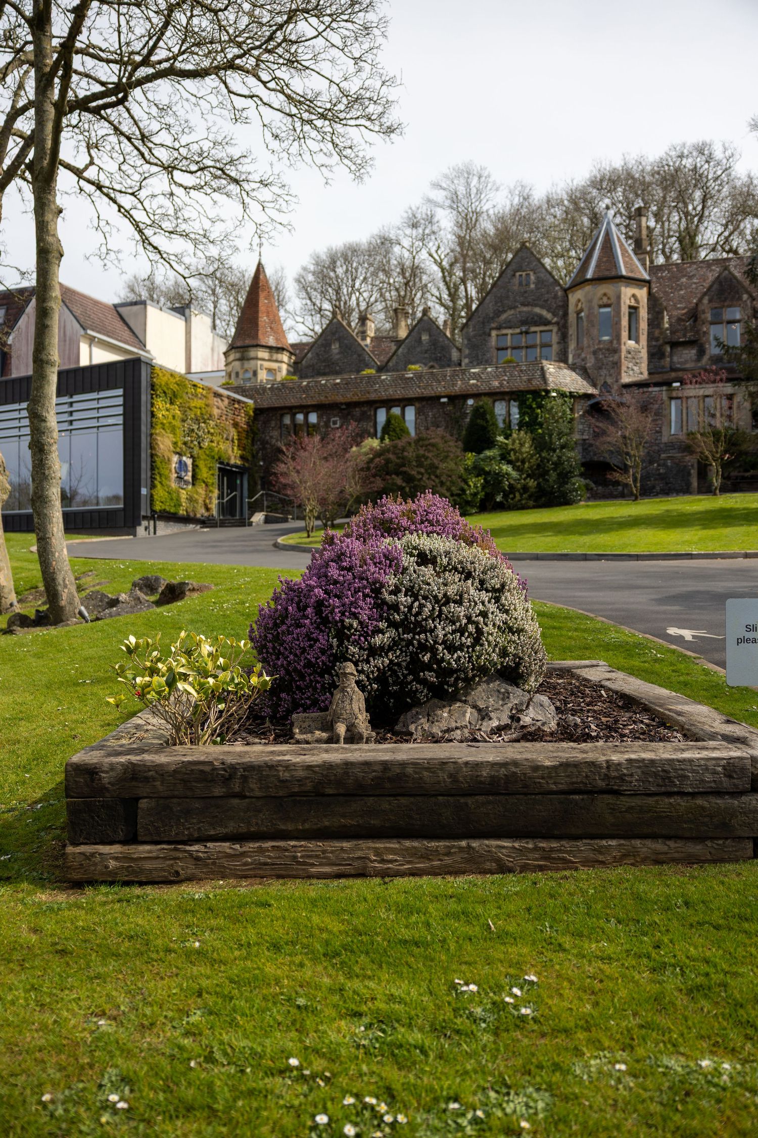 Purple flowering shrubs and spring blooms in front of historic buildings with towers.
