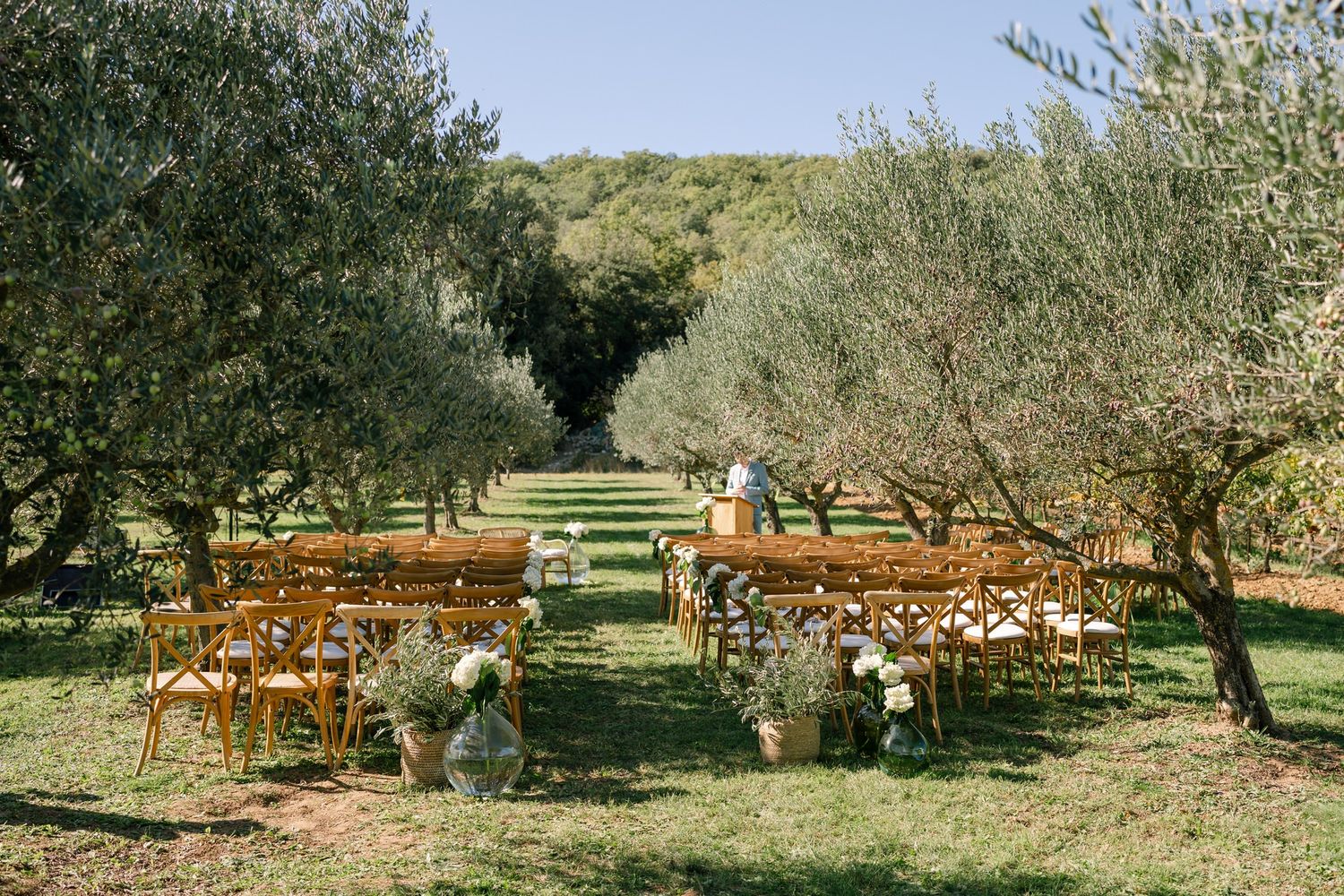 Wooden ceremony chairs arranged in rows among olive trees at an outdoor wedding venue.