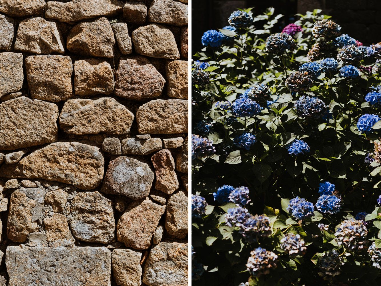 Diptych of rustic stone wall texture and blooming blue hydrangea flowers.