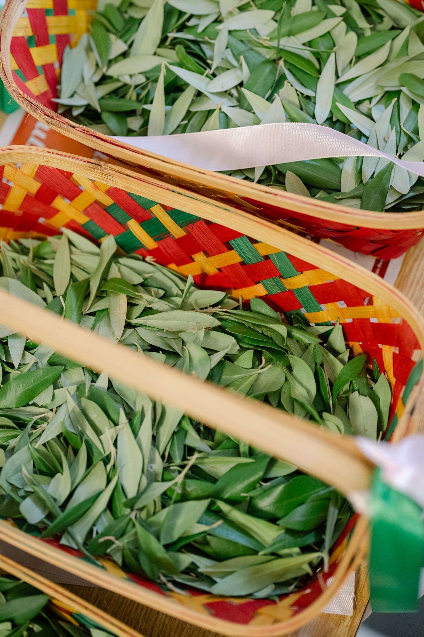 Colorful woven basket filled with fresh green olive branches and leaves.