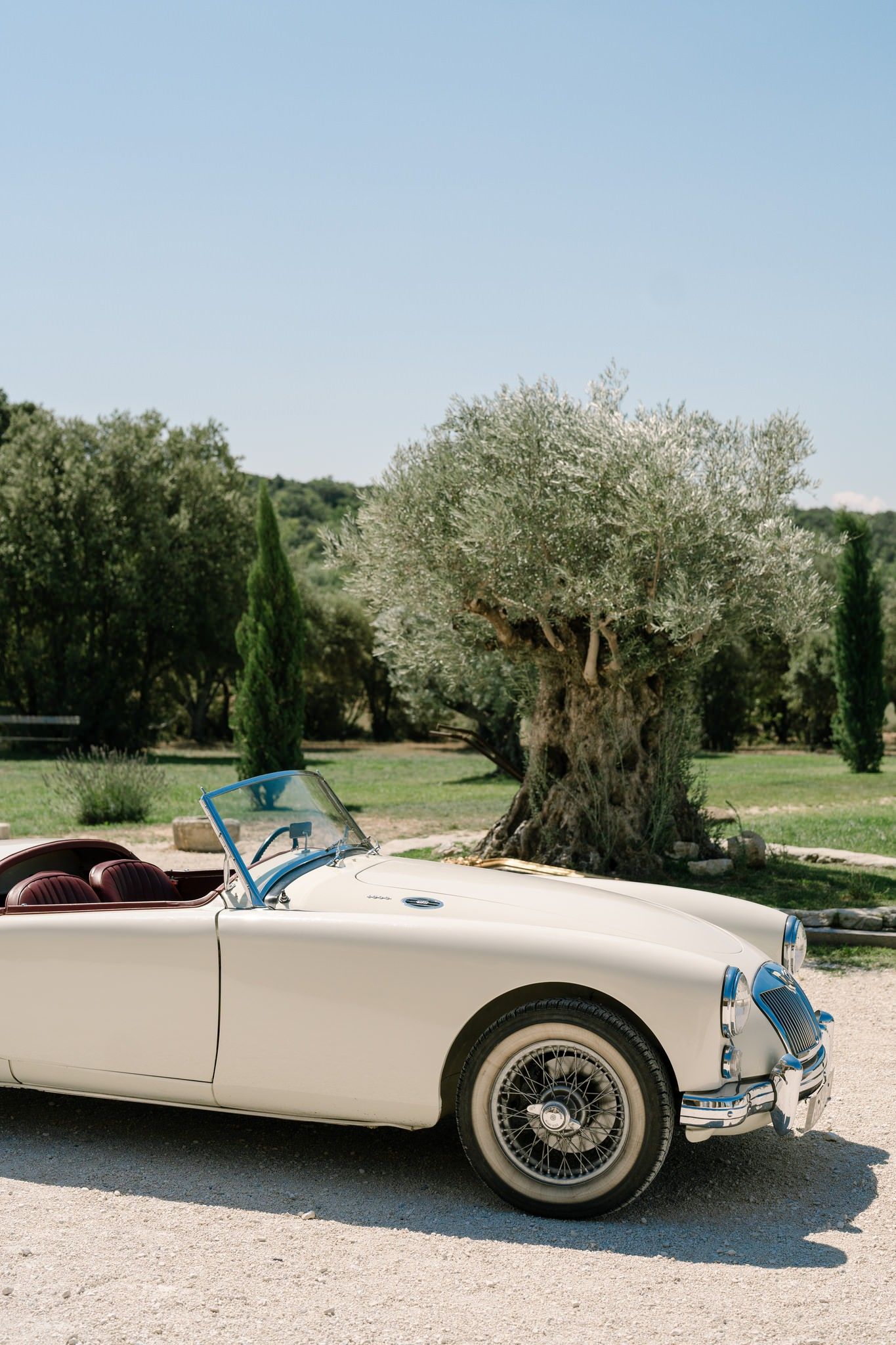 Classic white convertible car parked in front of blooming trees.