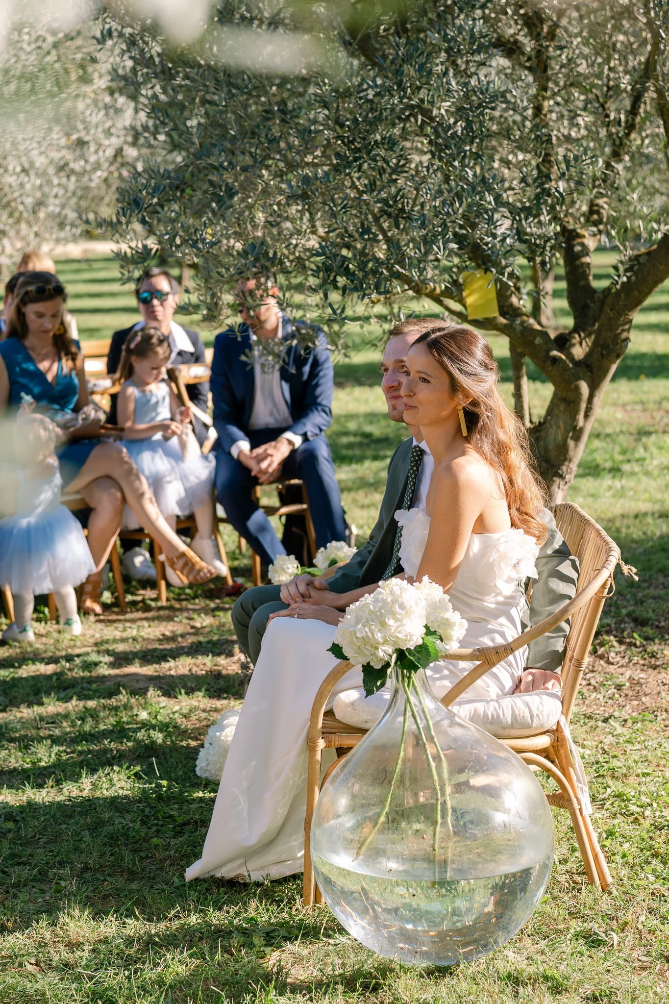Wedding ceremony guests seated on white chairs beneath olive trees in a natural orchard setting.