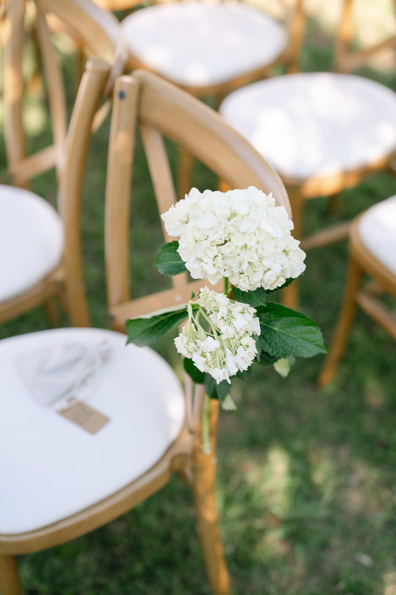 White hydrangea flowers decorating wooden ceremony chairs in an olive grove setting.