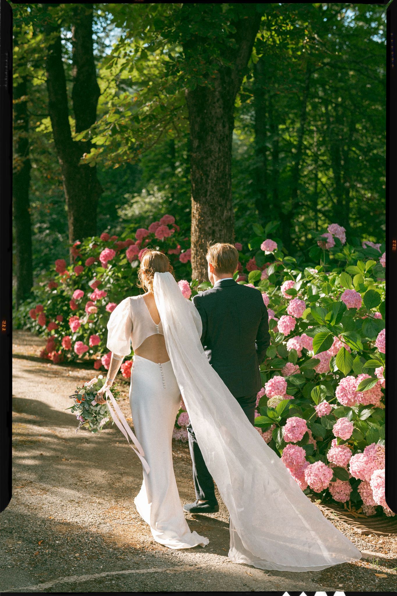 Garden path lined with blooming pink hydrangeas and trees creating a romantic walkway.