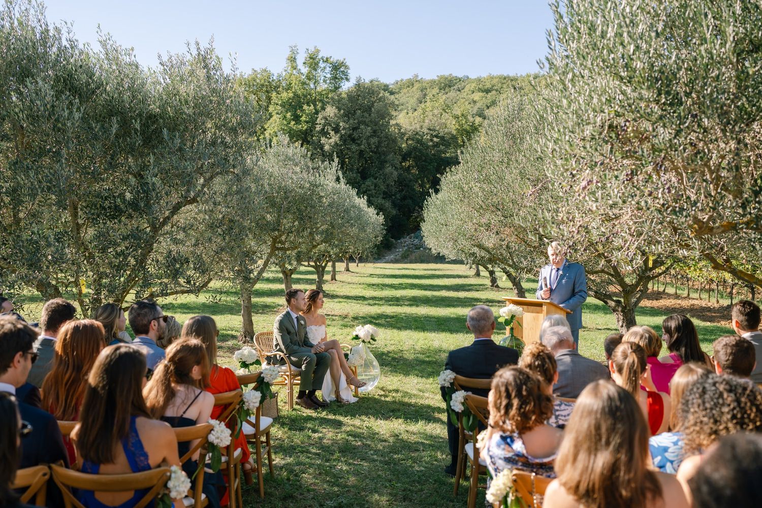 Wedding guests gather under olive trees in a scenic outdoor grove setting.