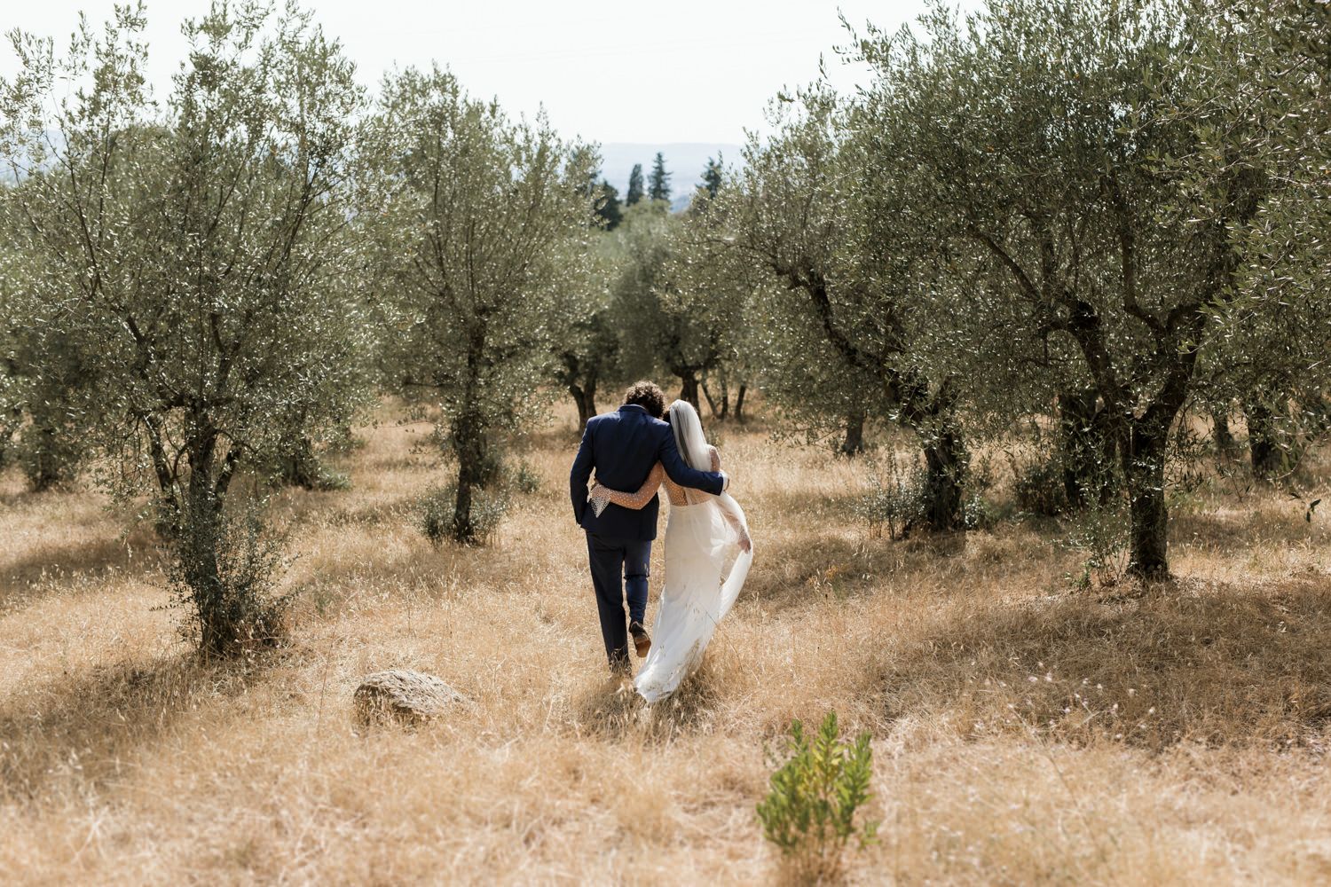 A couple embraces in a sun-drenched olive grove during their romantic outdoor wedding photoshoot.