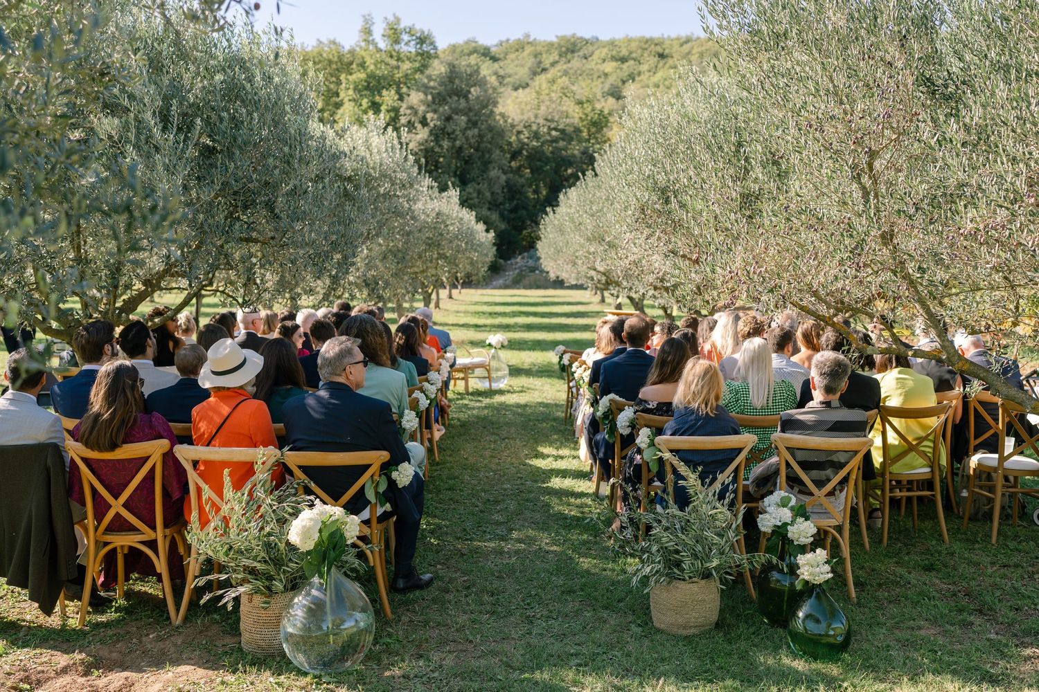 Panoramic view of wedding guests seated in an olive grove for an outdoor ceremony.