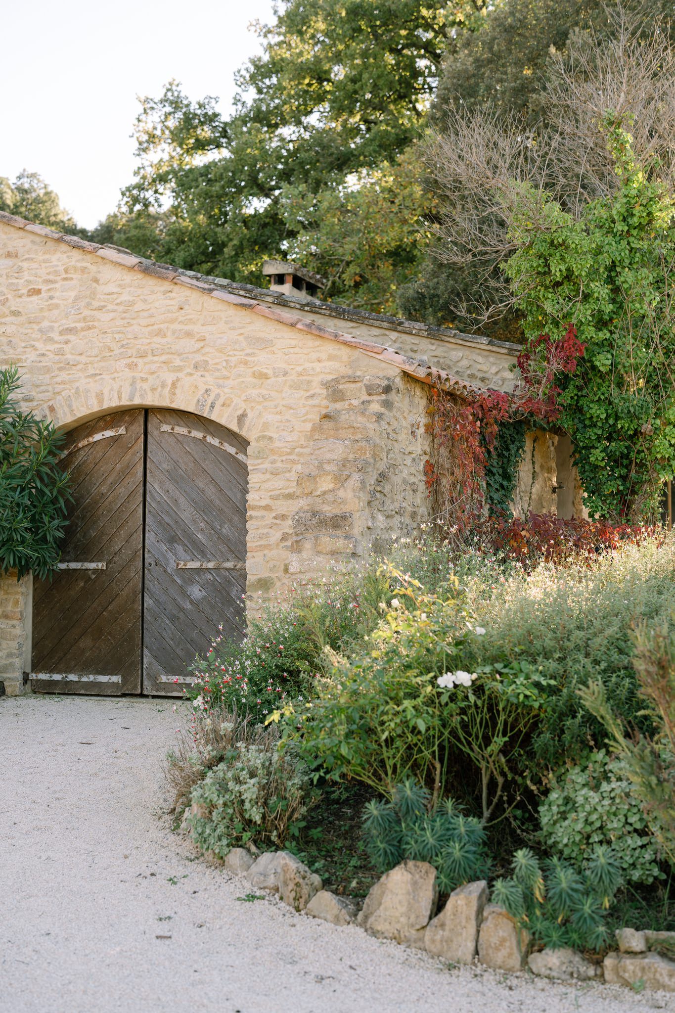 Rustic wooden door in stone wall with climbing vines and garden landscaping.