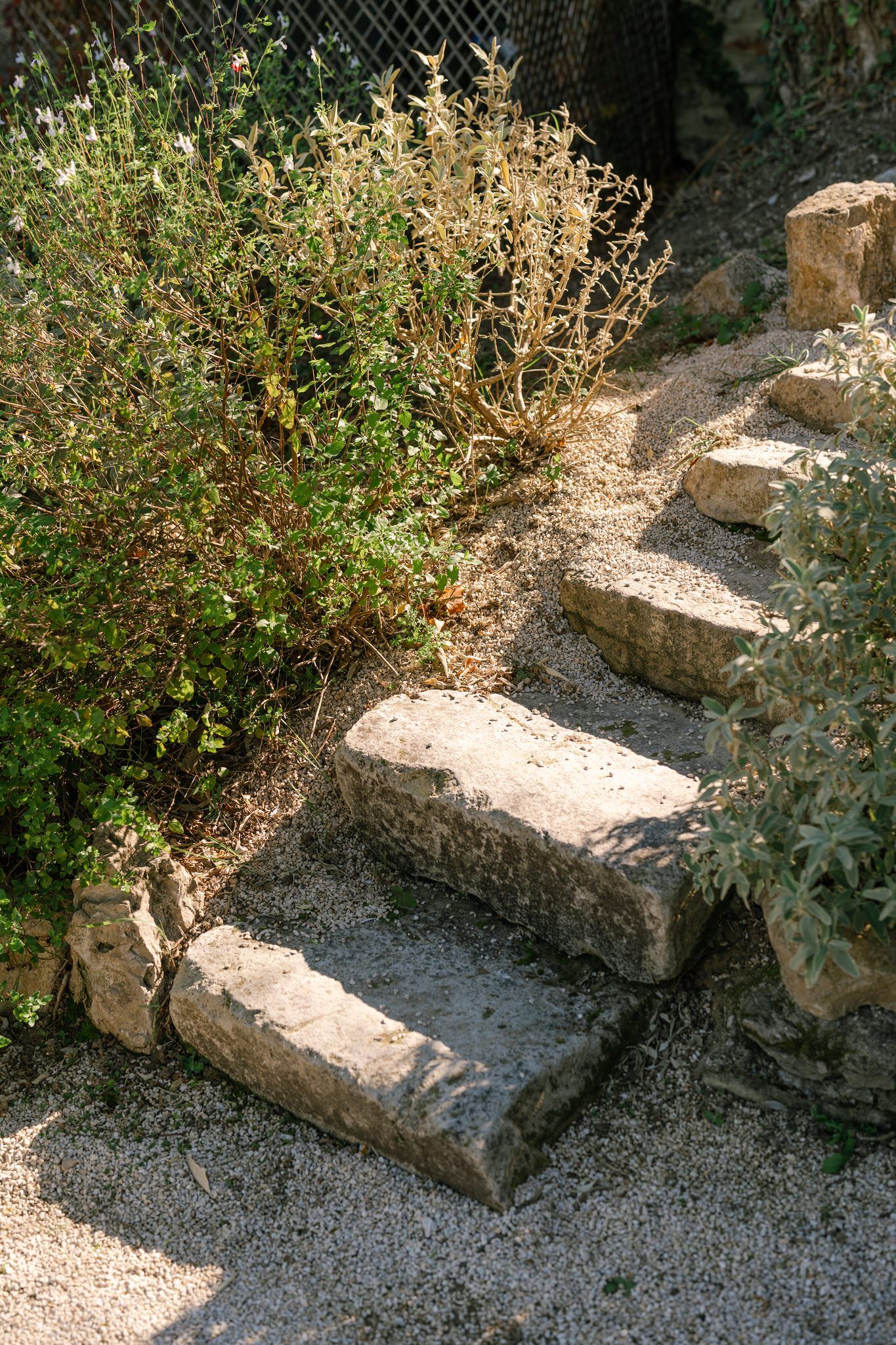 Rustic stone steps with wild herbs and plants growing alongside in a garden setting.