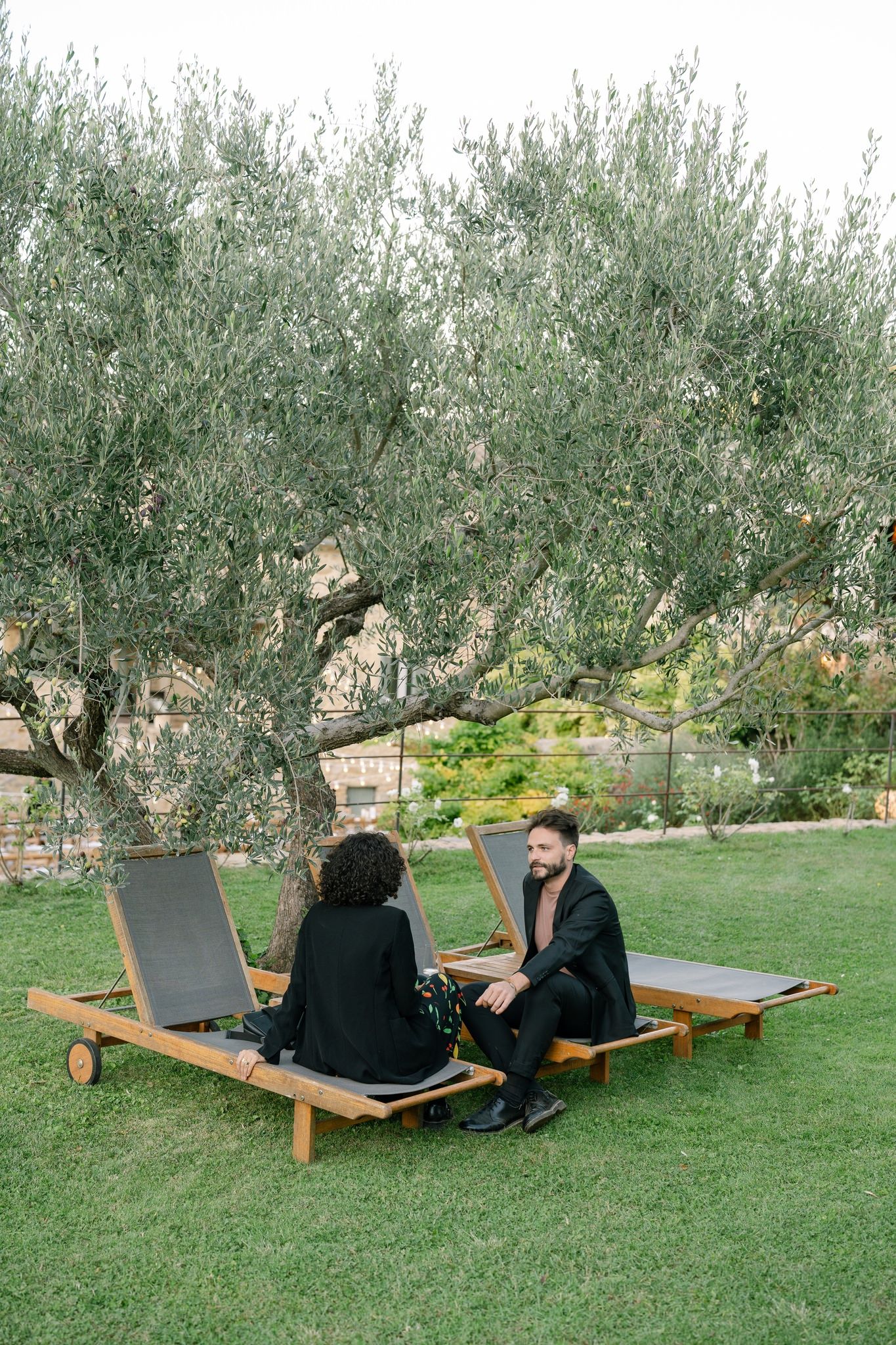 Wooden lounge chairs arranged on a lawn beneath olive trees.