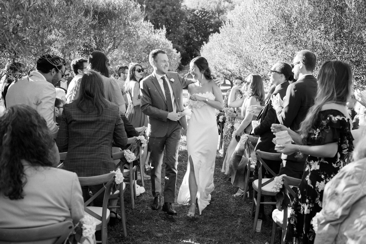 Wedding guests mingle during cocktail hour in a sunlit olive grove.