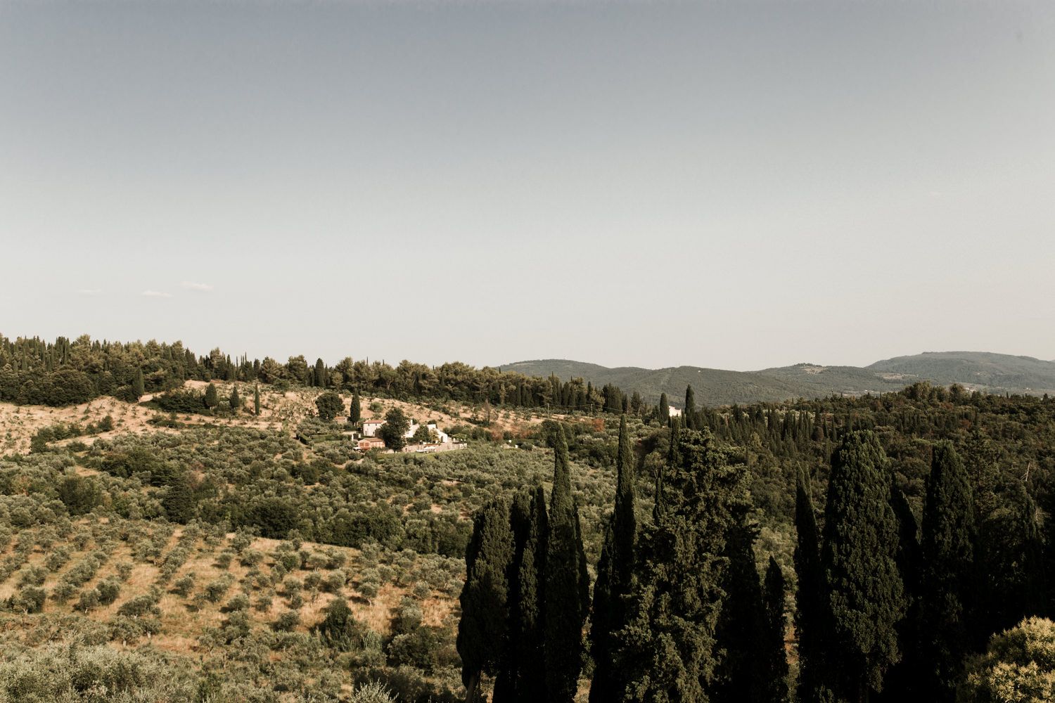 Mediterranean landscape with cypress trees and rolling hills against hazy mountains.