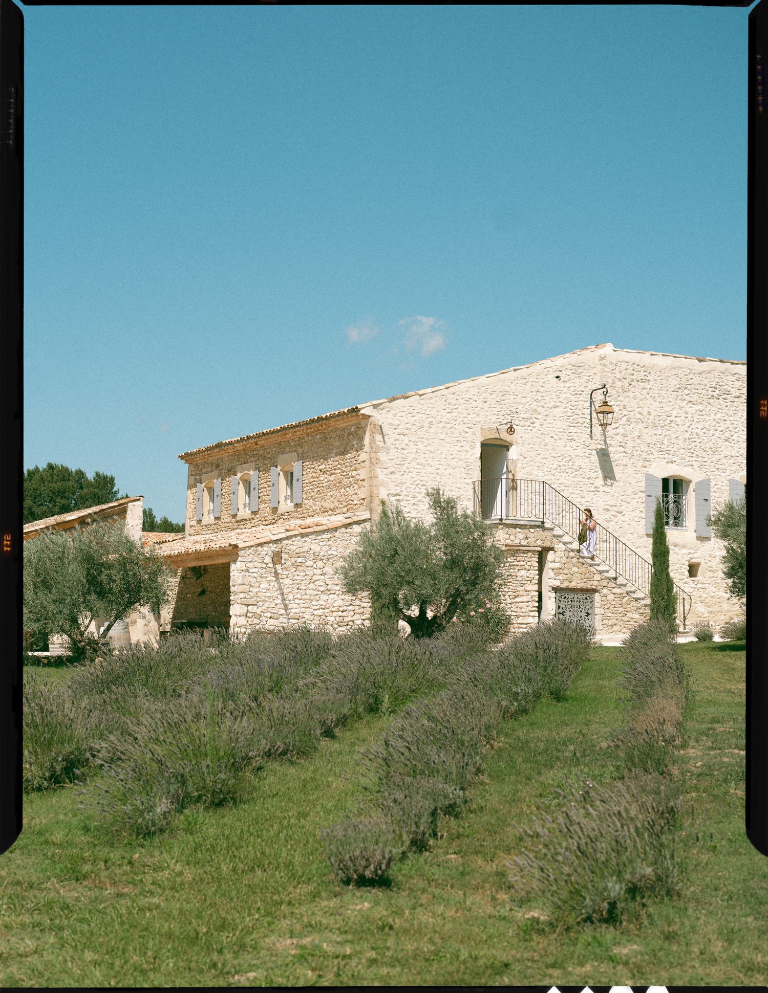 A rustic stone villa with green shutters sits on a hillside surrounded by olive trees under a bright blue sky.