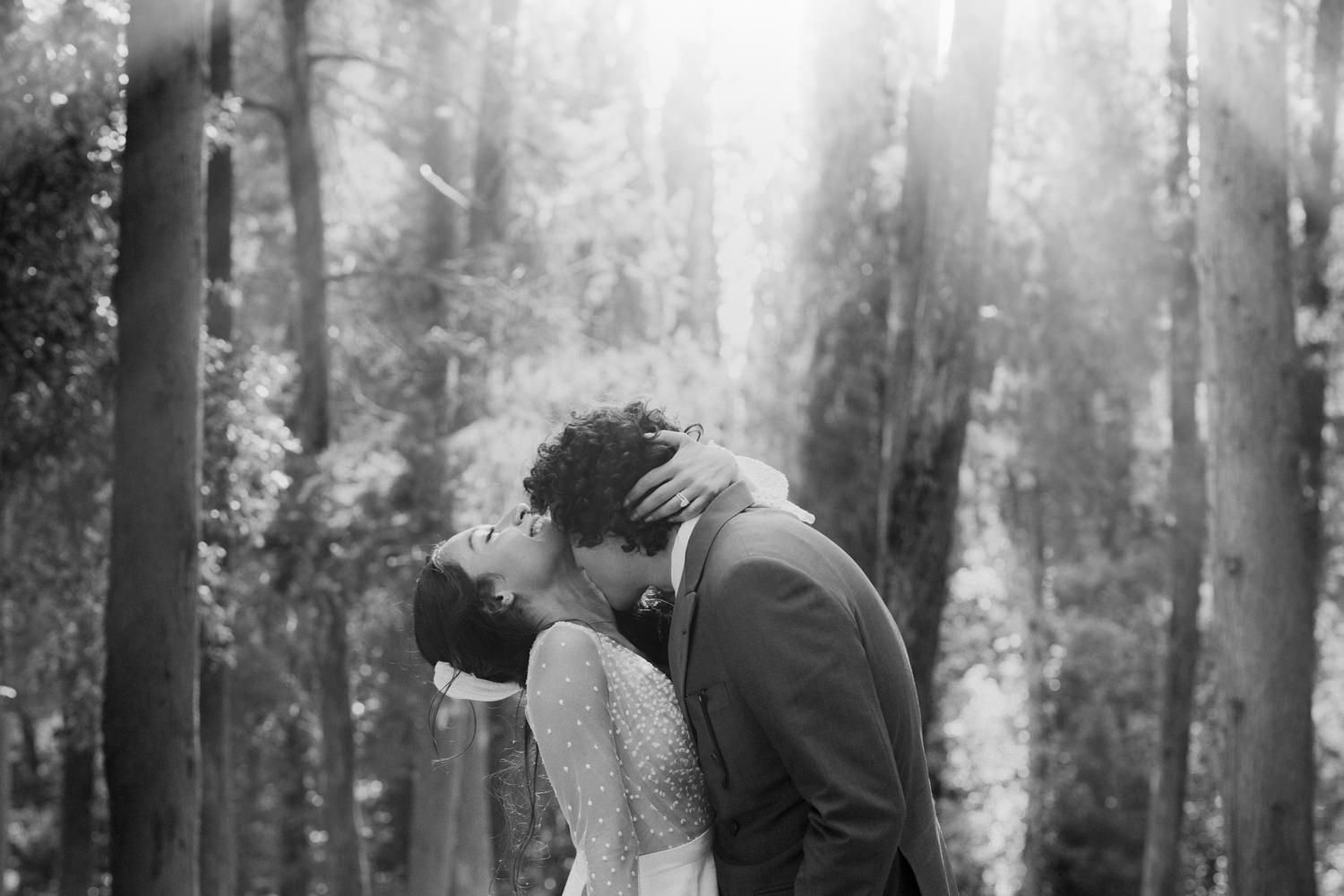 Sunlight filters through tall trees creating a magical backdrop for wedding portraits.