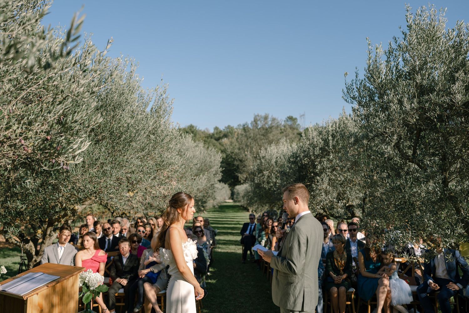 Wedding guests gather in a scenic olive grove for an outdoor ceremony.