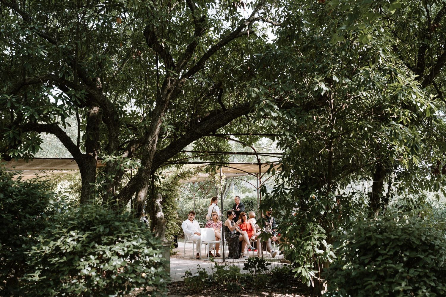 A wedding party visible through lush green trees in a garden setting.