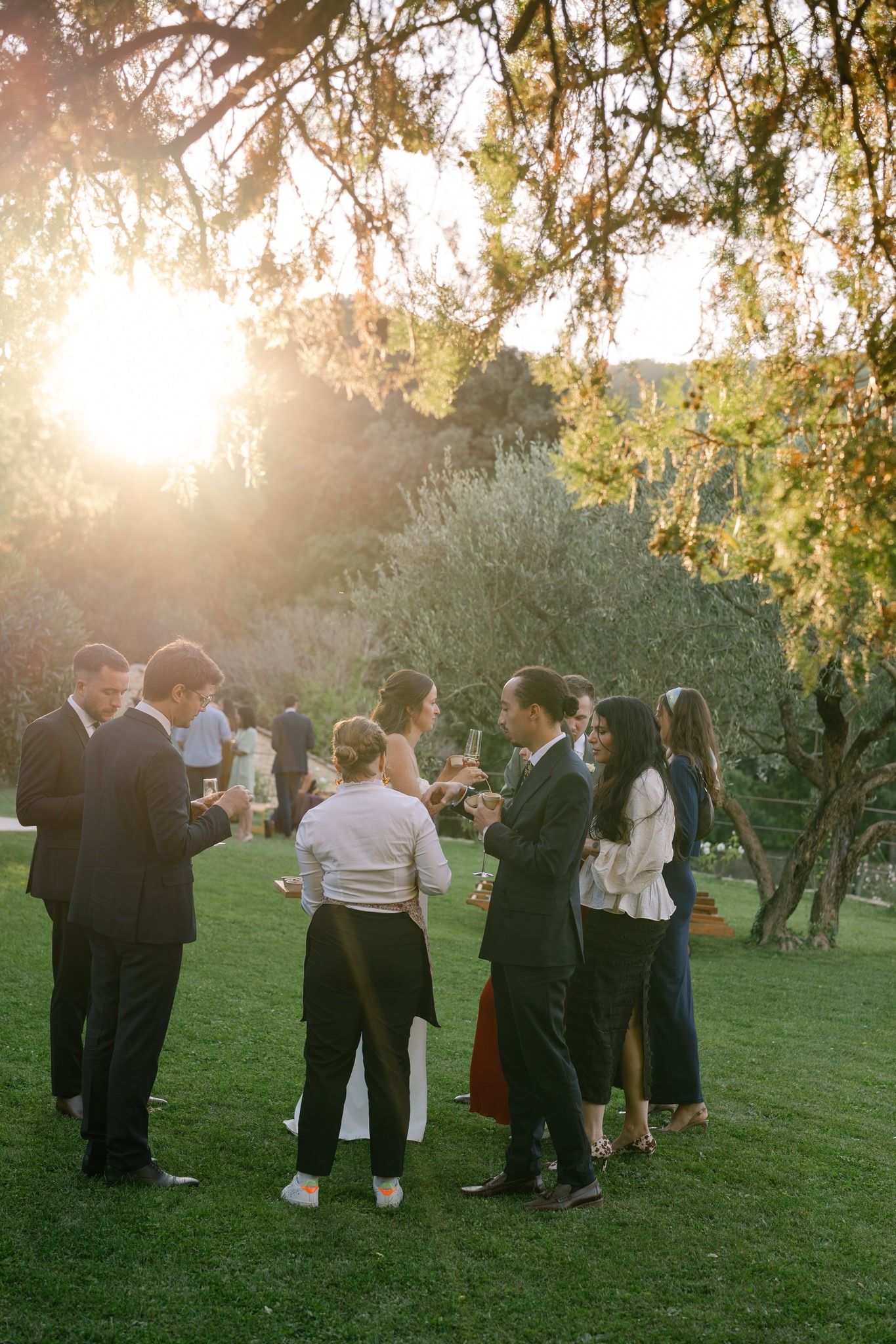 Wedding guests mingling on a grassy lawn during golden hour sunset.