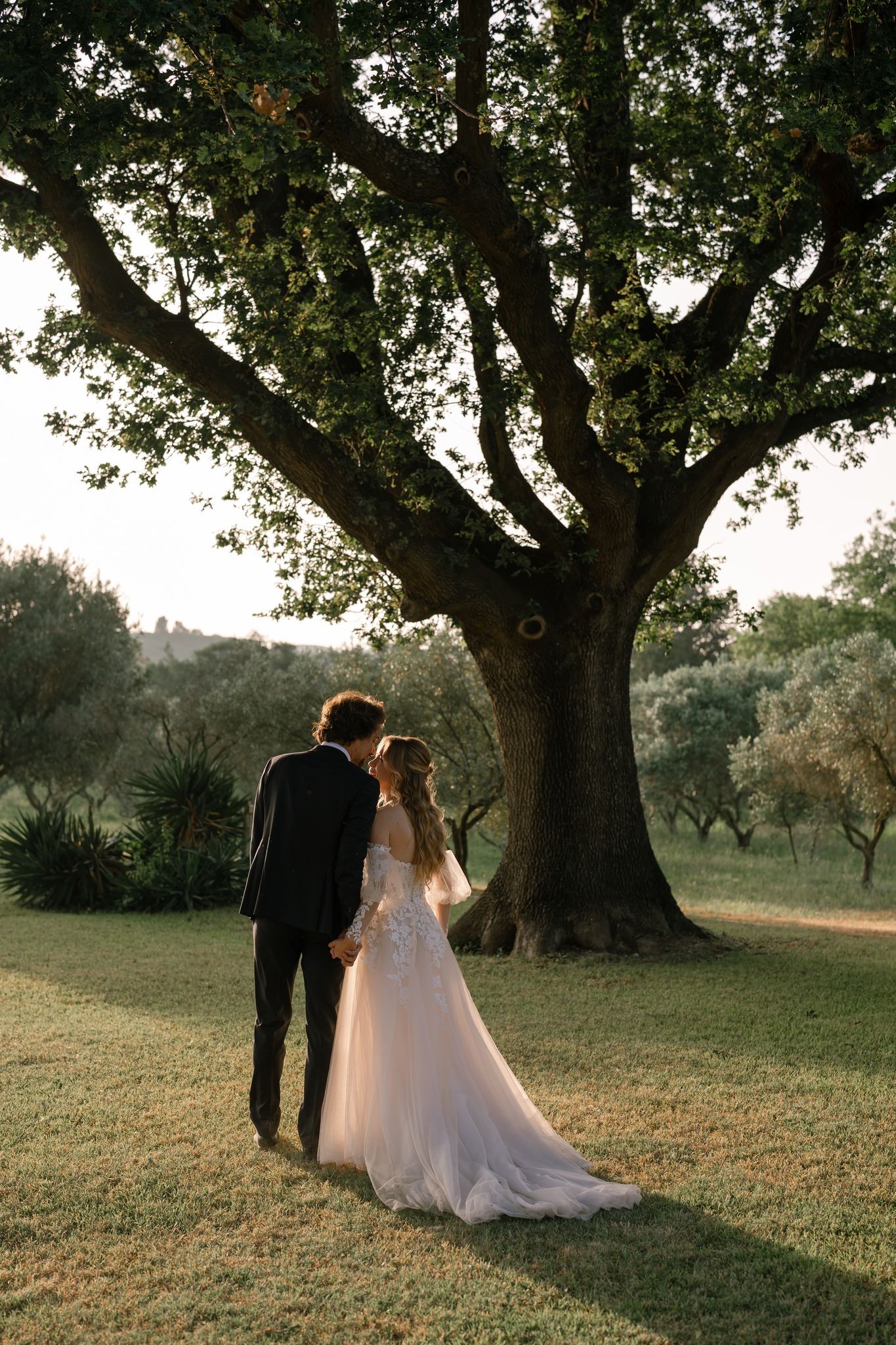 Romantic sunset portrait session under a majestic oak tree in a pastoral setting.