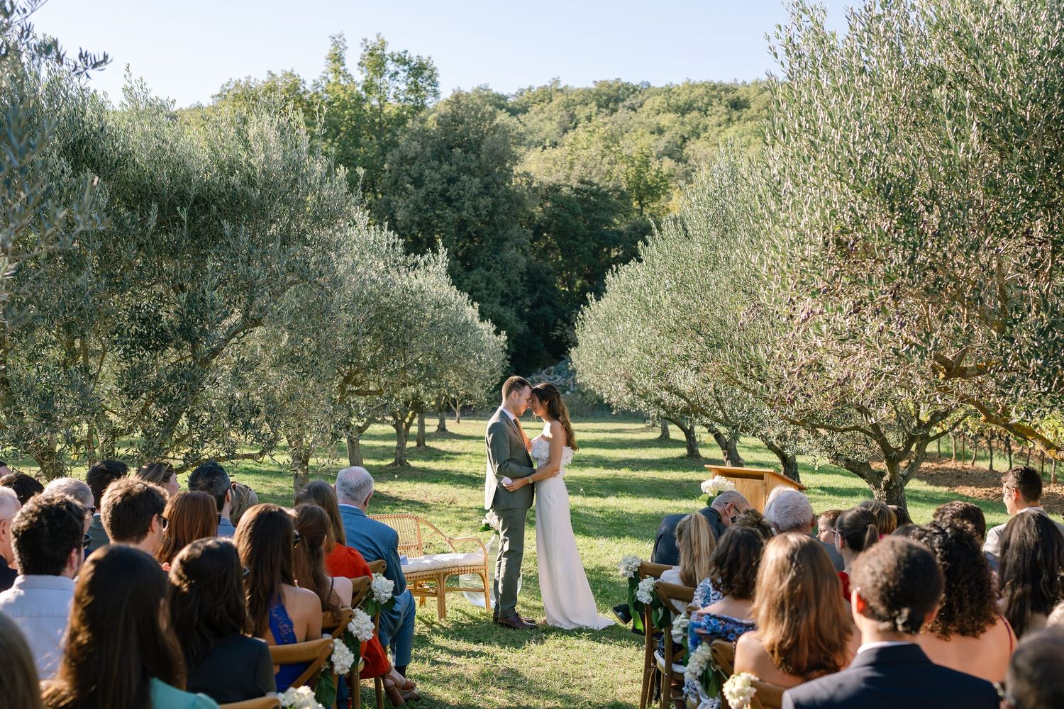Wedding guests seated in rows watching ceremony in an olive grove setting.