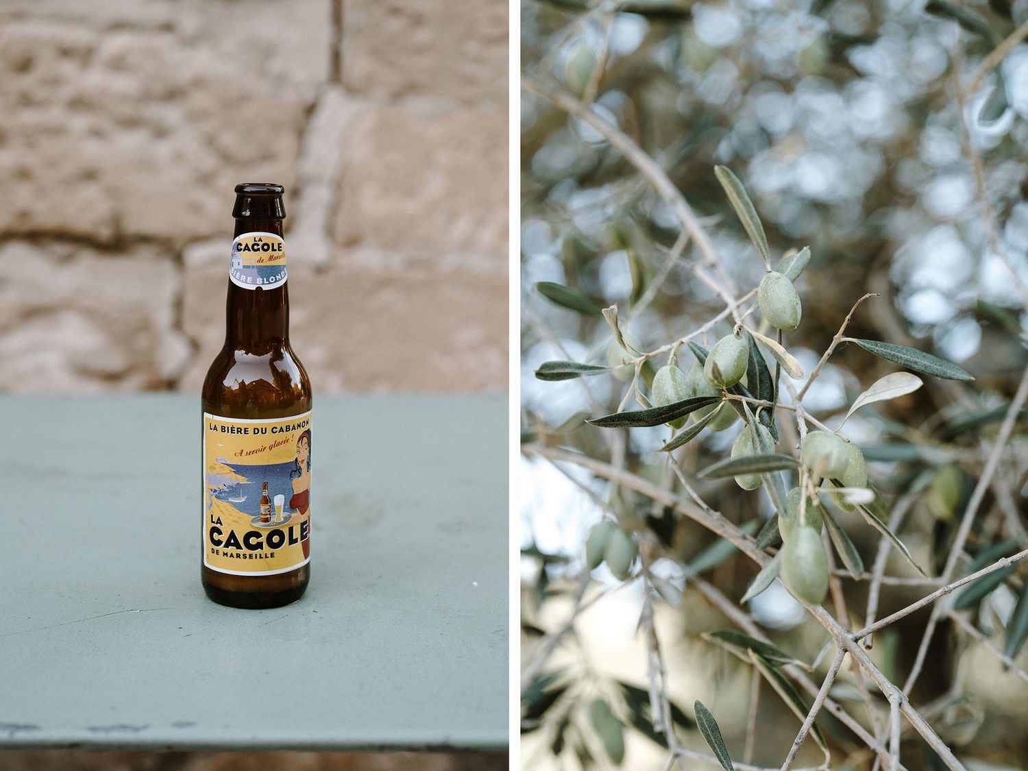Glass bottles of Tacoma beer displayed against a natural outdoor setting.