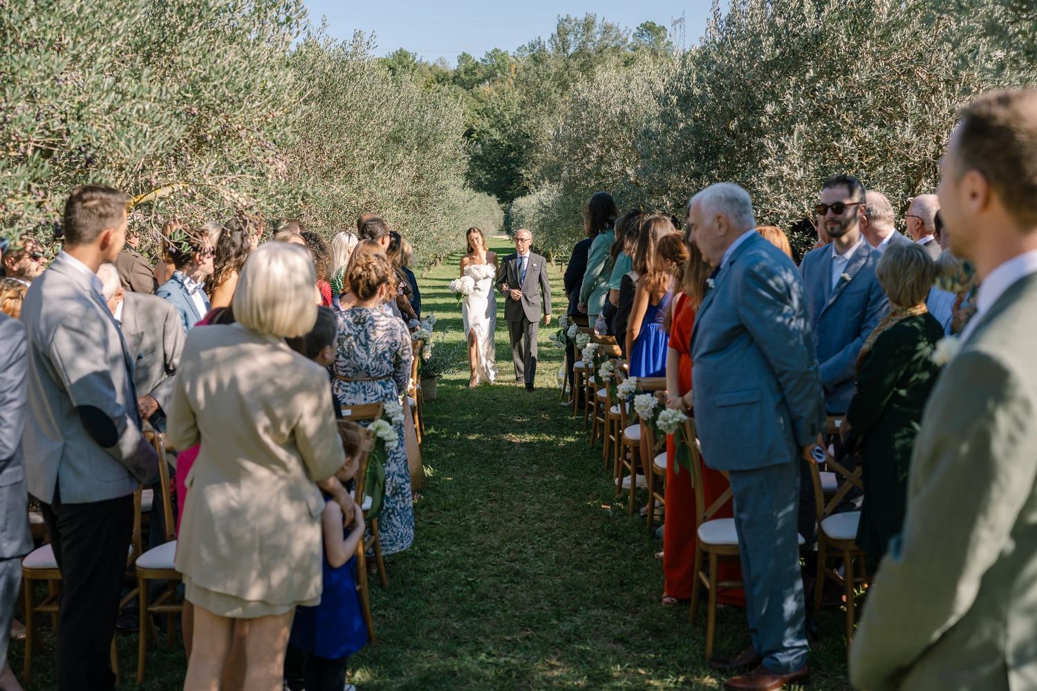 Wedding guests gathering in a scenic orchard setting for the celebration.