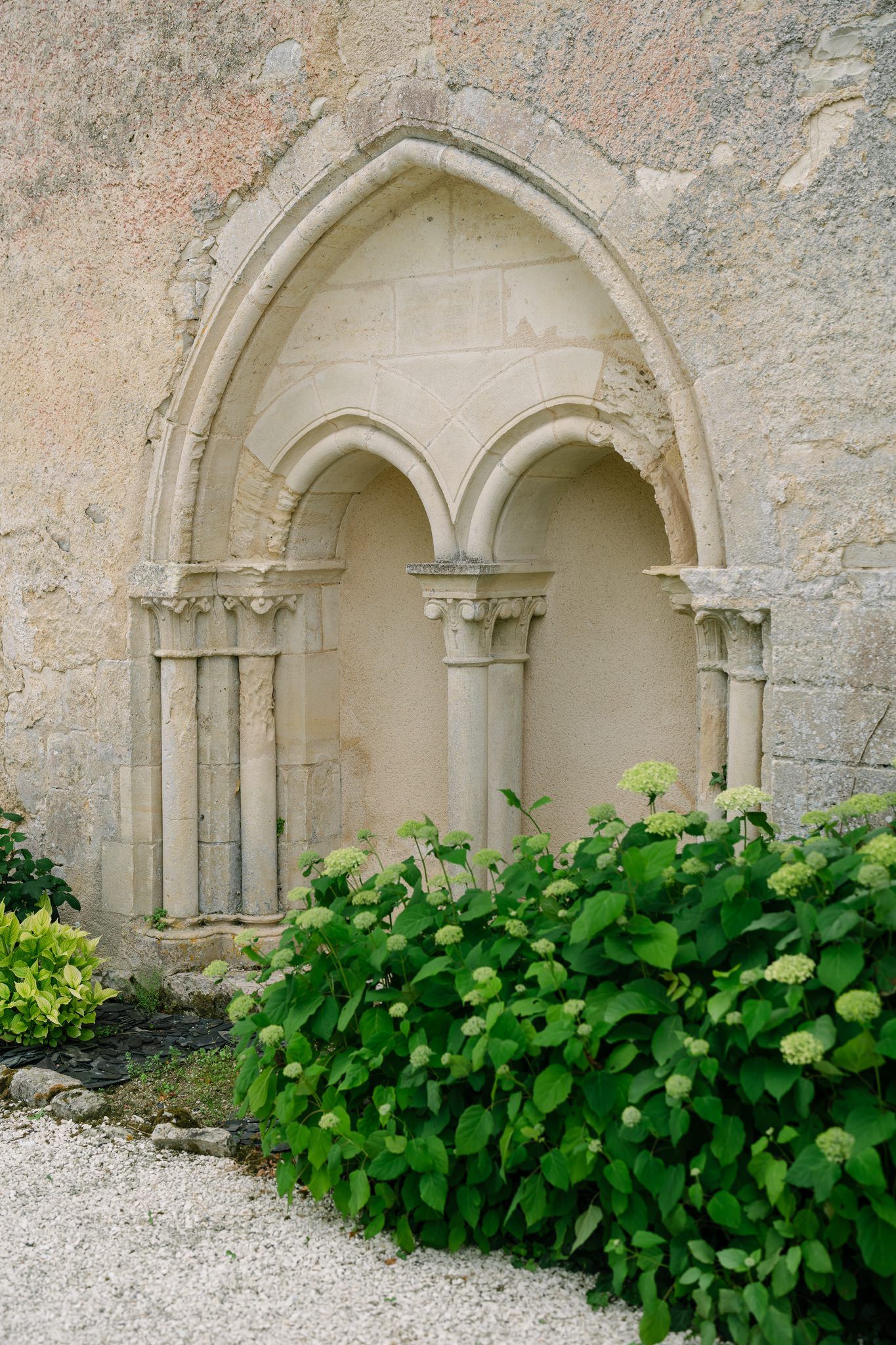 Stone archways with green vines growing along the base of an old church or castle wall.