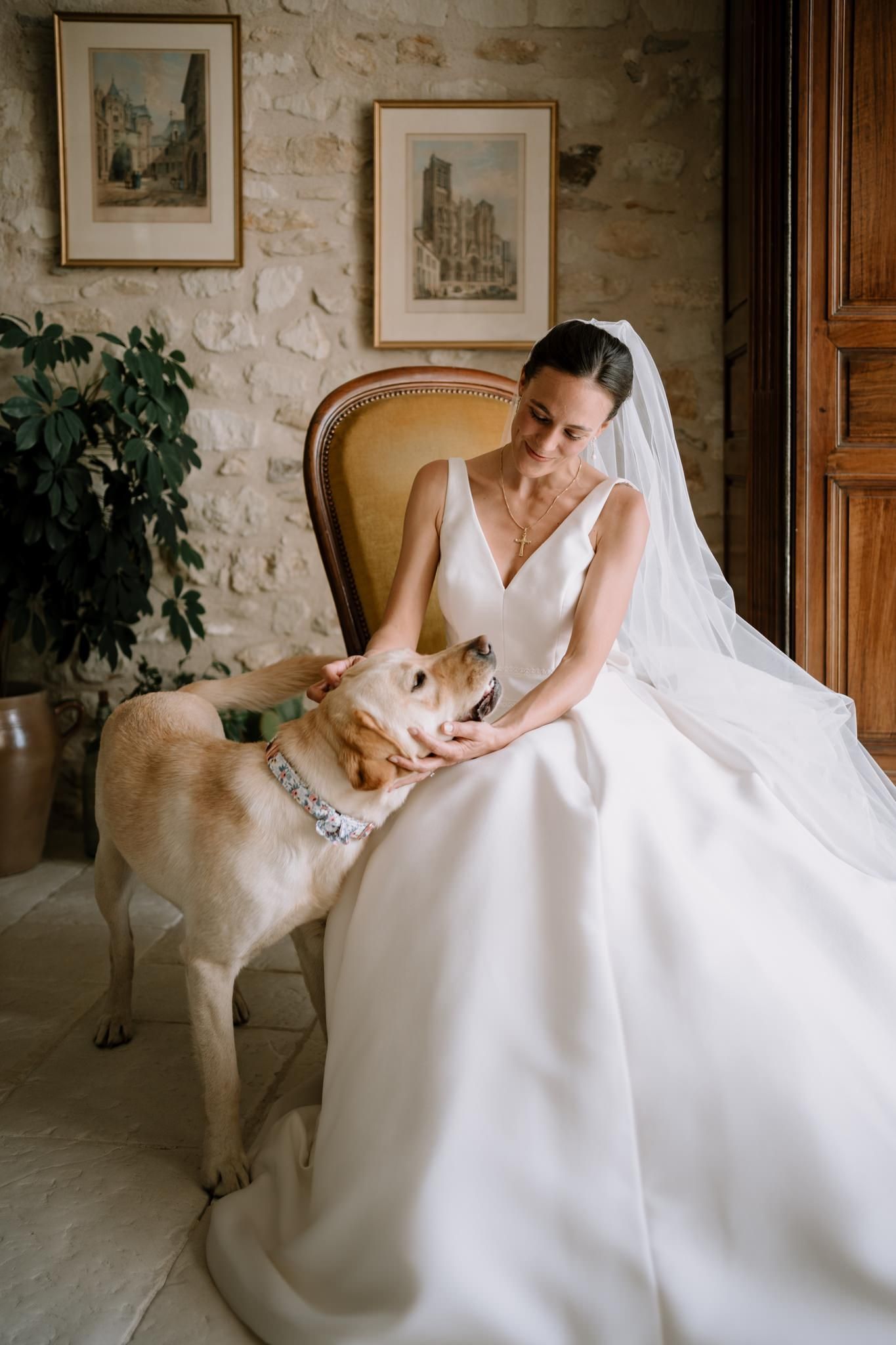 Wedding dress with golden retriever sitting beside chair in rustic stone room.