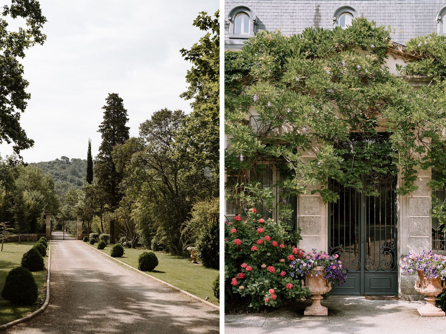 Scenic driveway leading to a French estate with ornate gates and rose gardens.