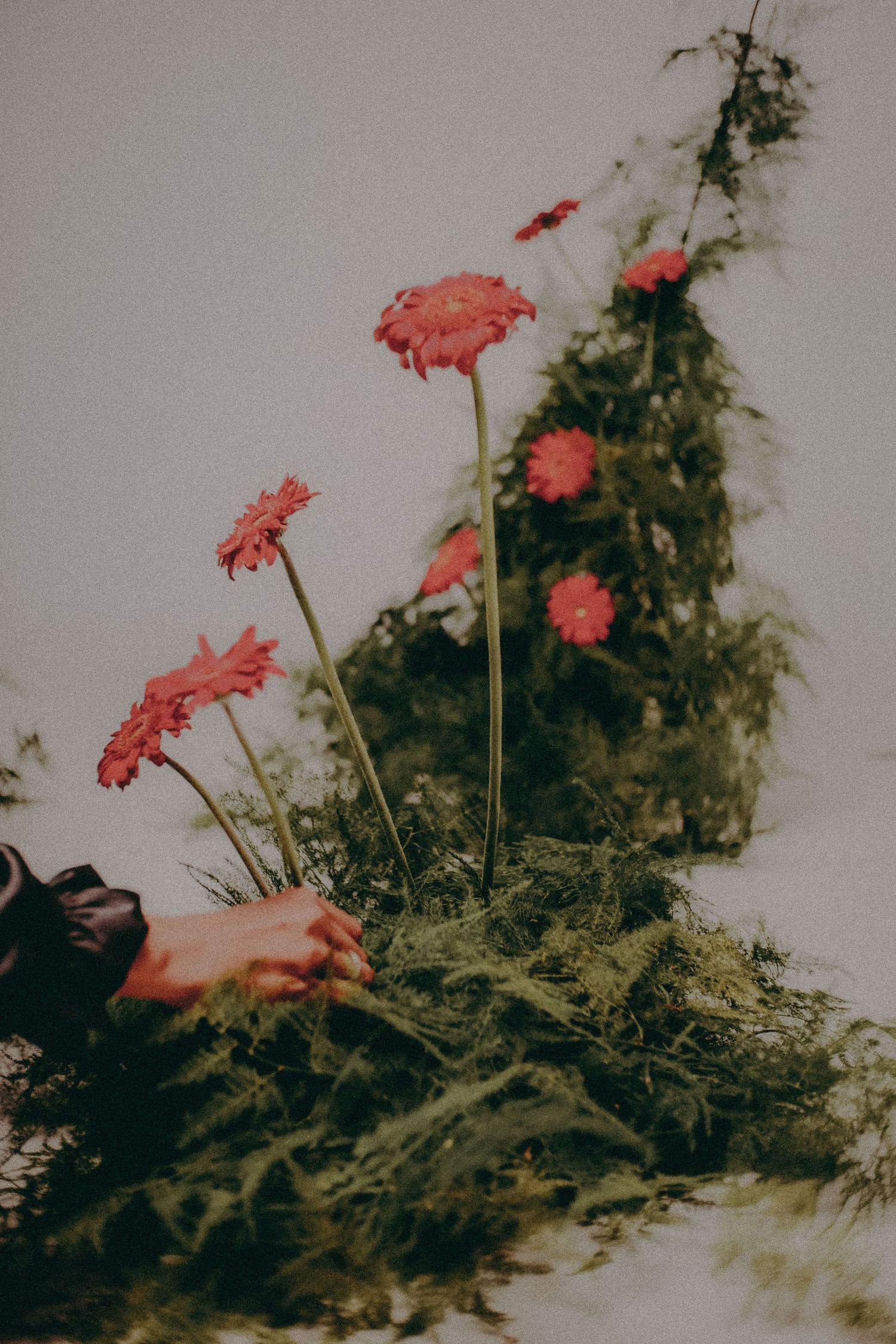 Studio decoration by Greenery decoration instagram.com/greenerystyling