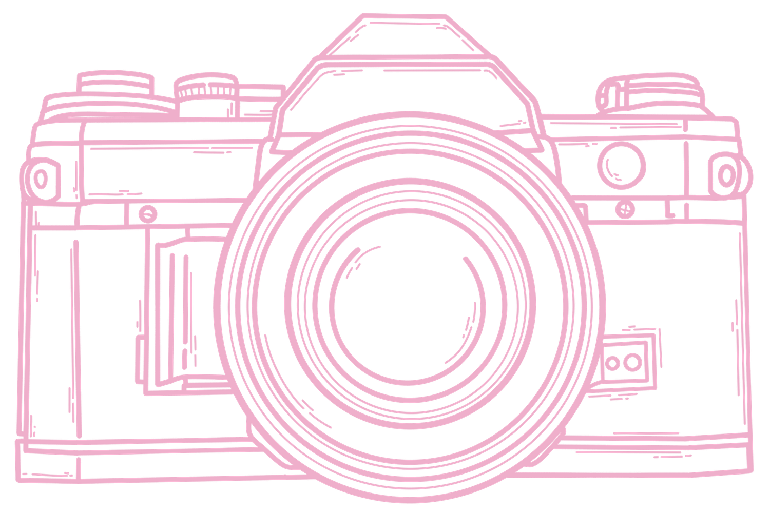 Minimalist pink line art illustration of a vintage SLR film camera on white background.