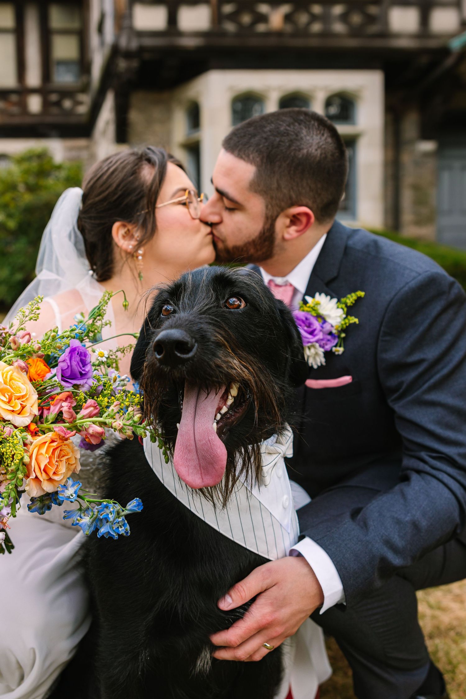 Bride and groom kiss behind happy black dog with tongue out at wedding venue.