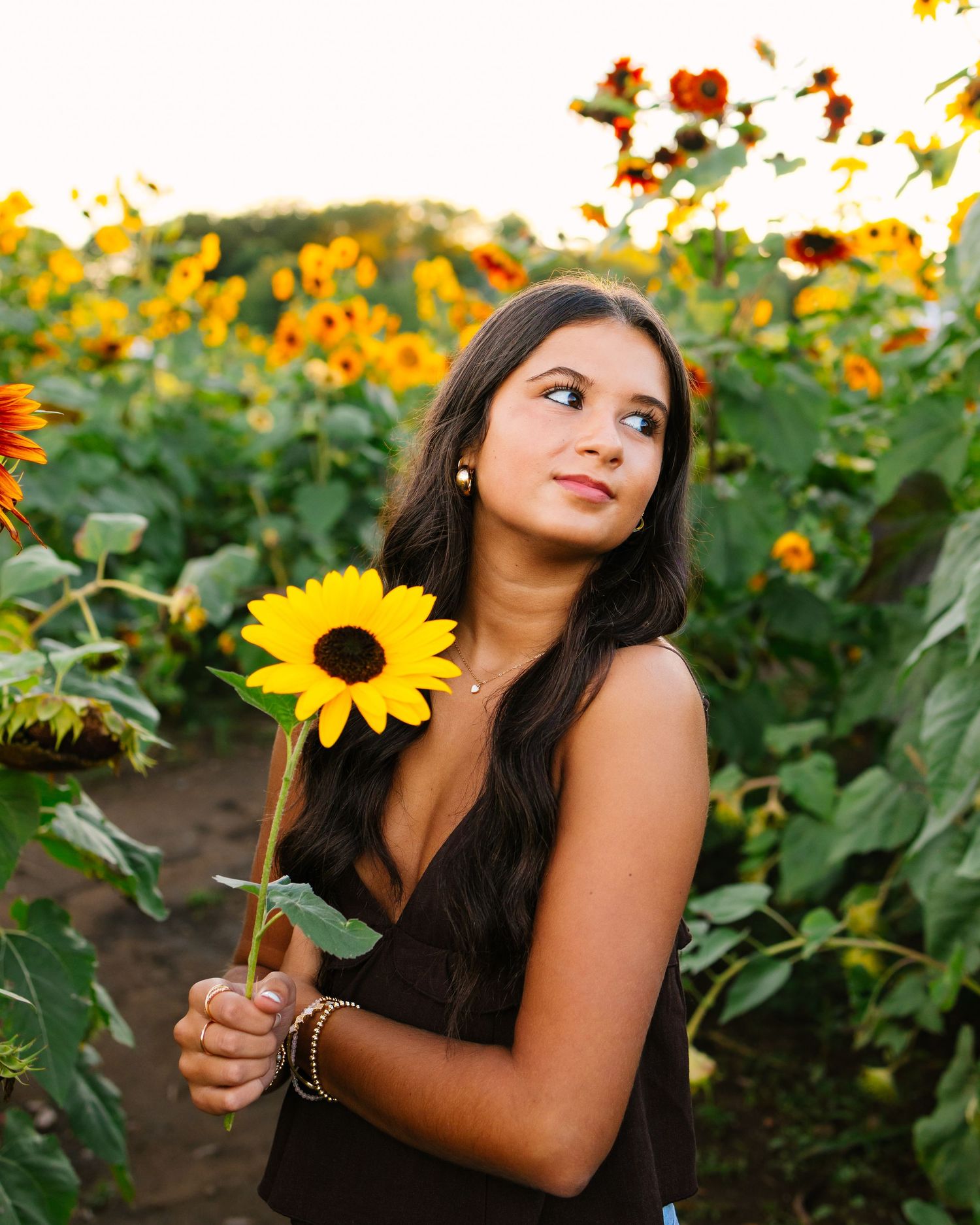 Teen girl holds a yellow sunflower while gazing upward in a vibrant sunflower field at sunset.