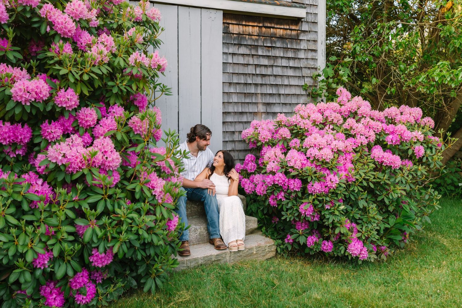 Couple sitting on steps surrounded by blooming pink rhododendrons beside a gray shingled shed.