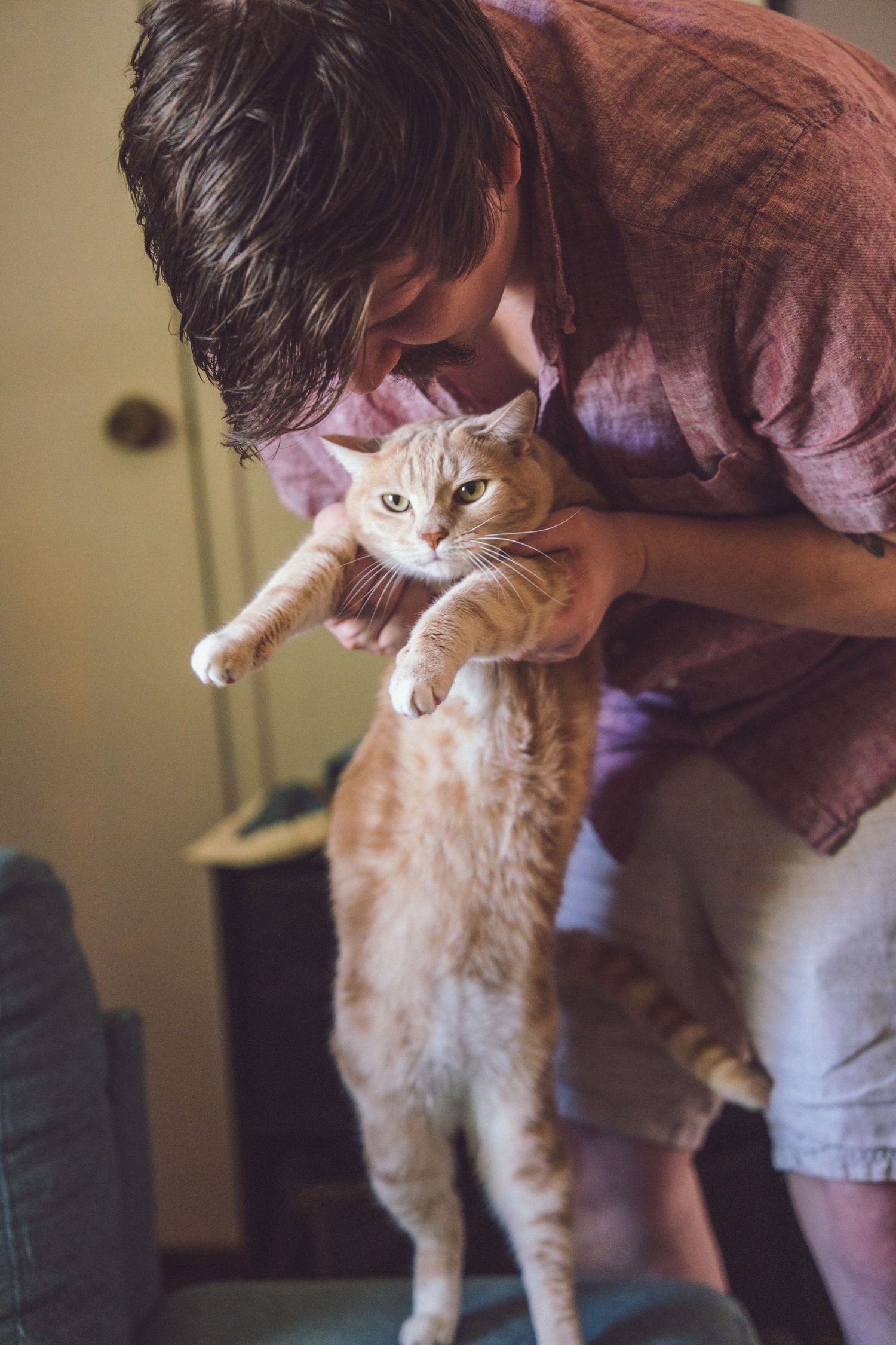 A young man in a pink shirt lovingly kisses his orange tabby cat while holding it up indoors.