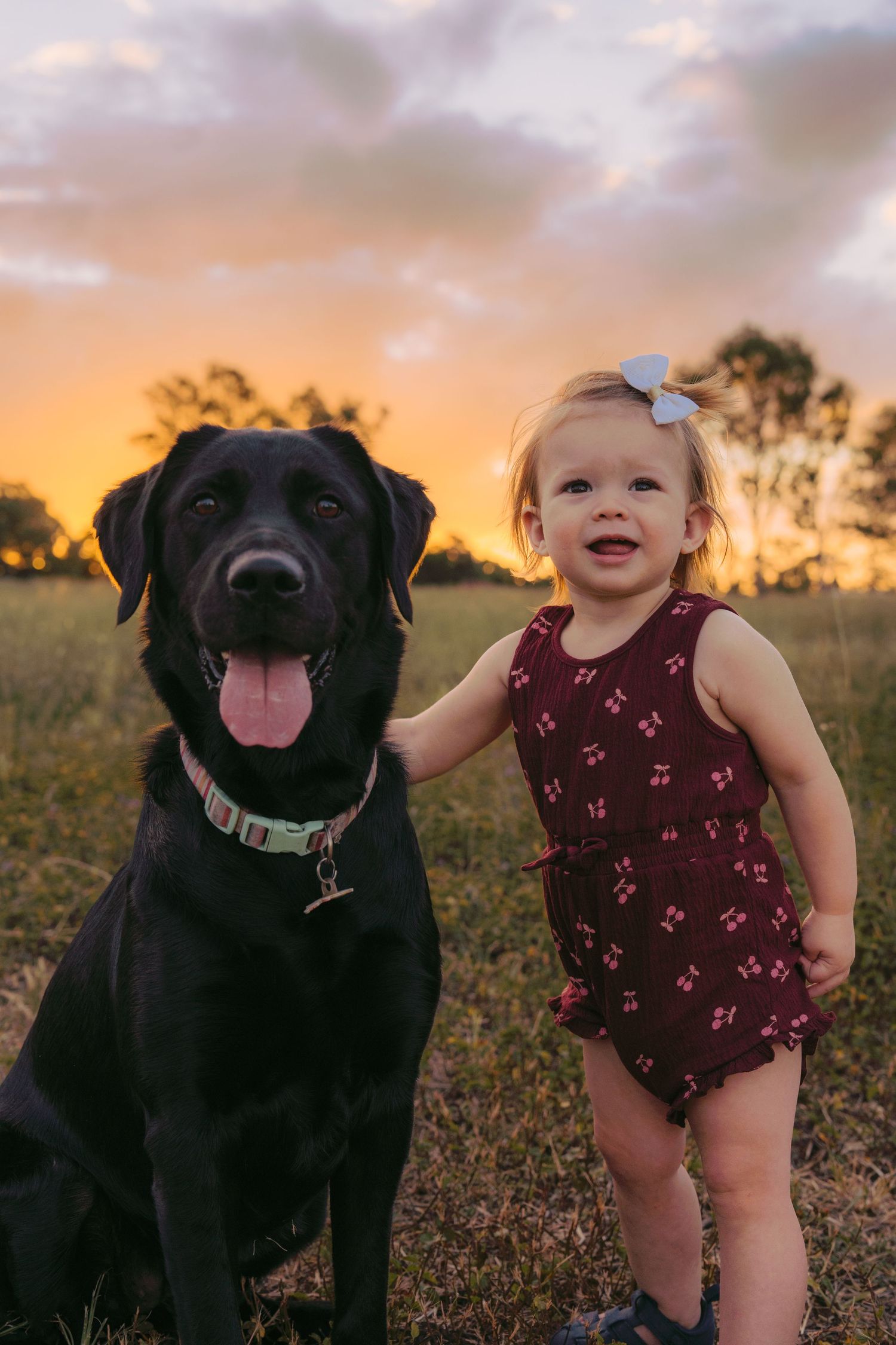 A toddler girl in a cherry romper stands beside a black Labrador at golden hour sunset in a grassy field.