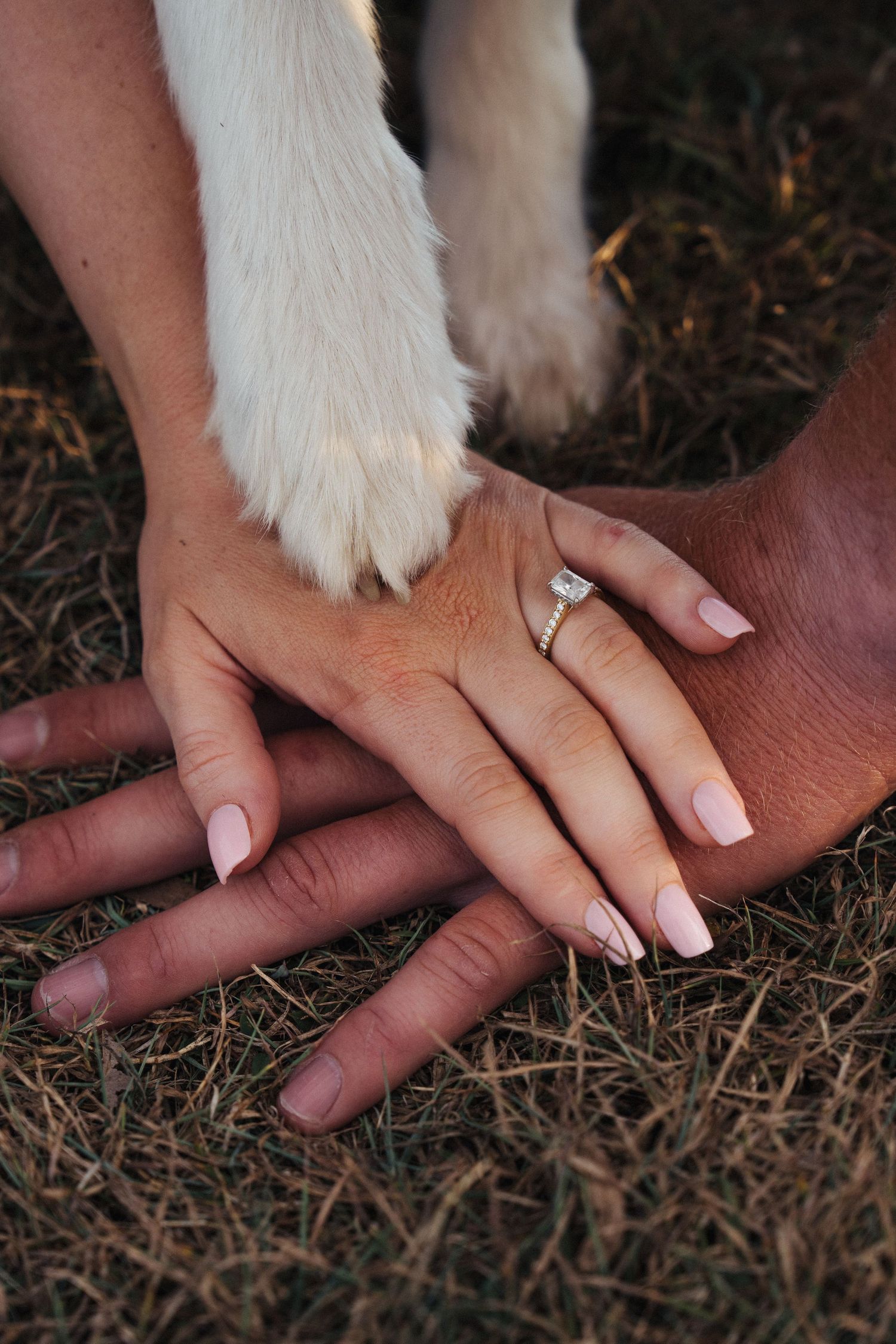 Couple stacking hands with diamond engagement ring and dog paw on top, symbolizing love and family on dry grass.