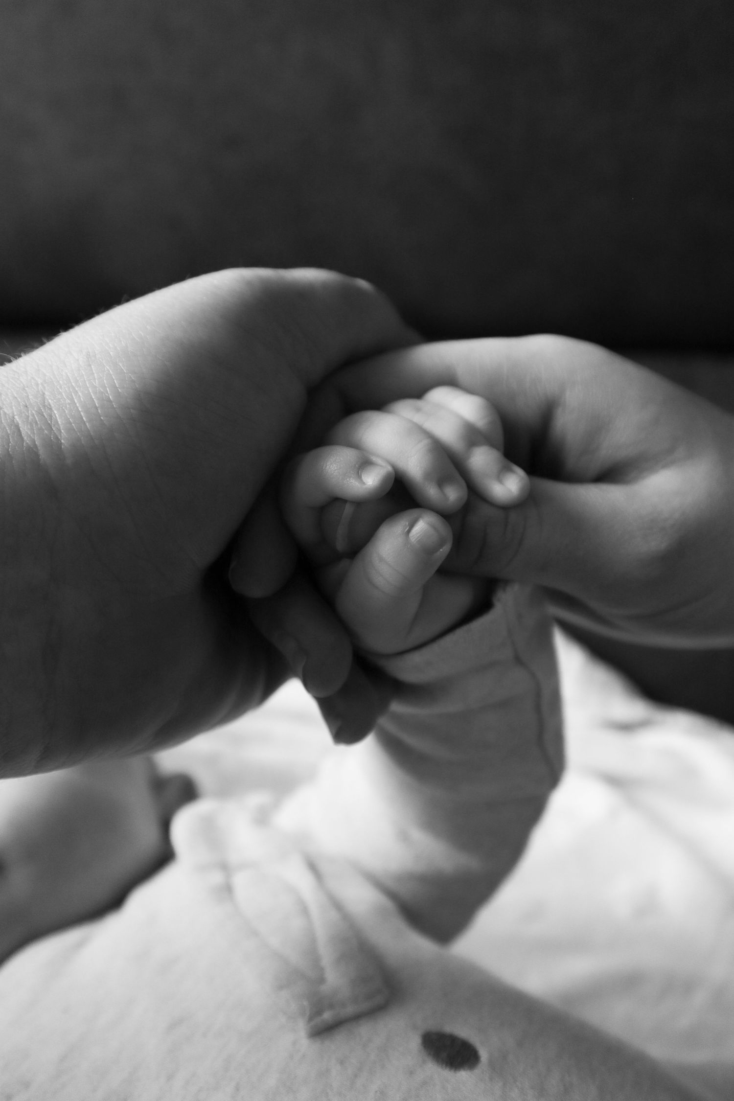 Mother and father gently holding their newborn baby's hands during a lifestyle photography session.