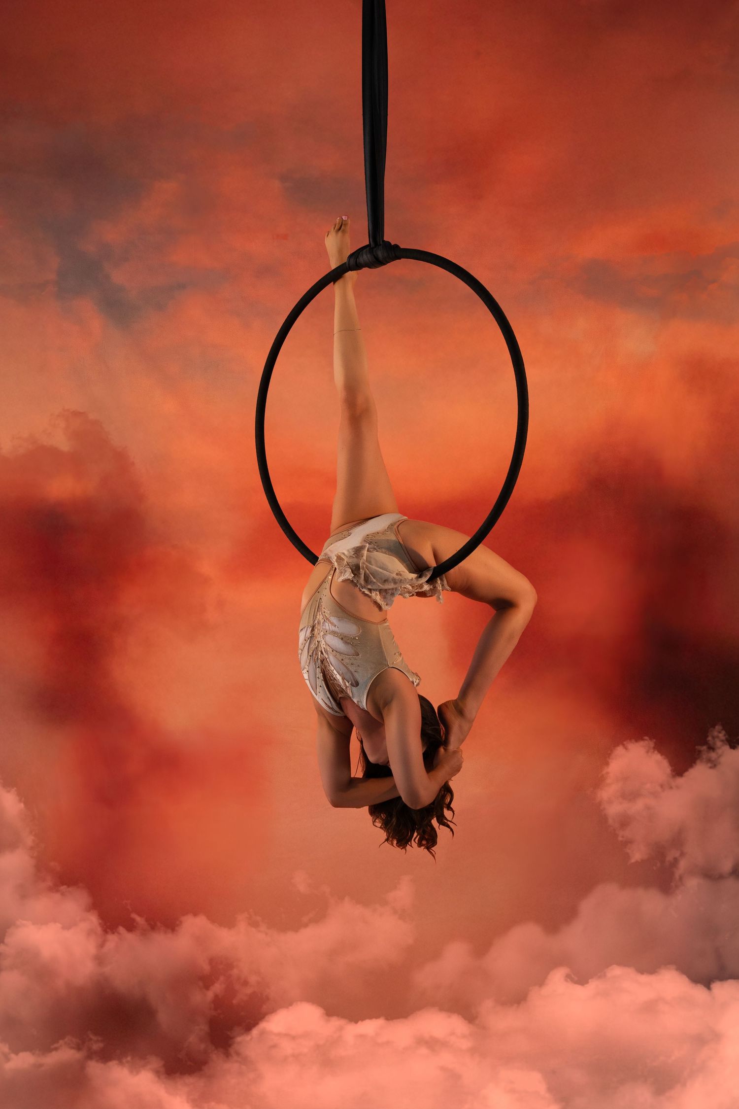 Aerial hoop portrait featuring elegant lines and artistic expression.