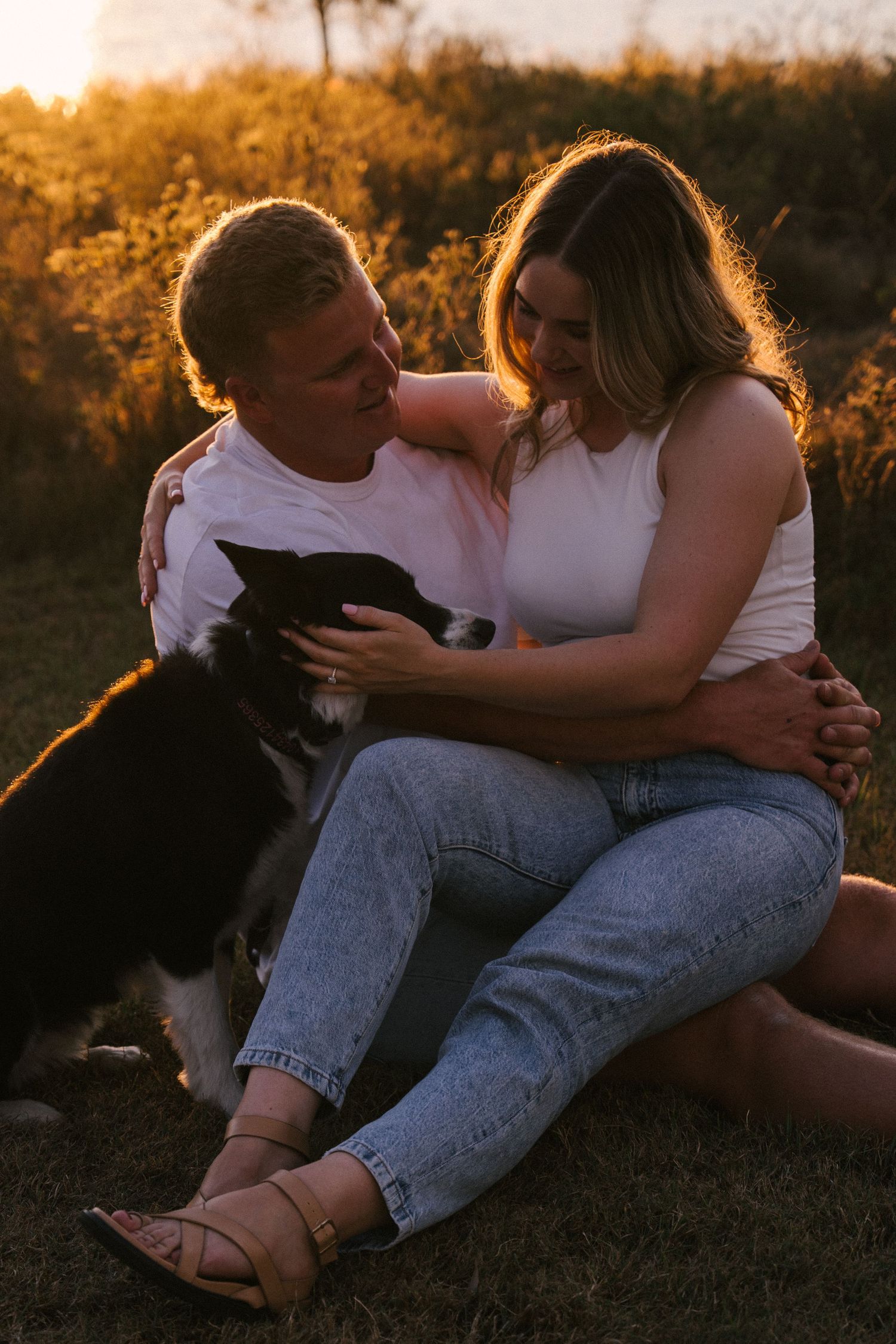 Happy couple sitting in golden sunset field embracing while petting their black and white border collie dog.