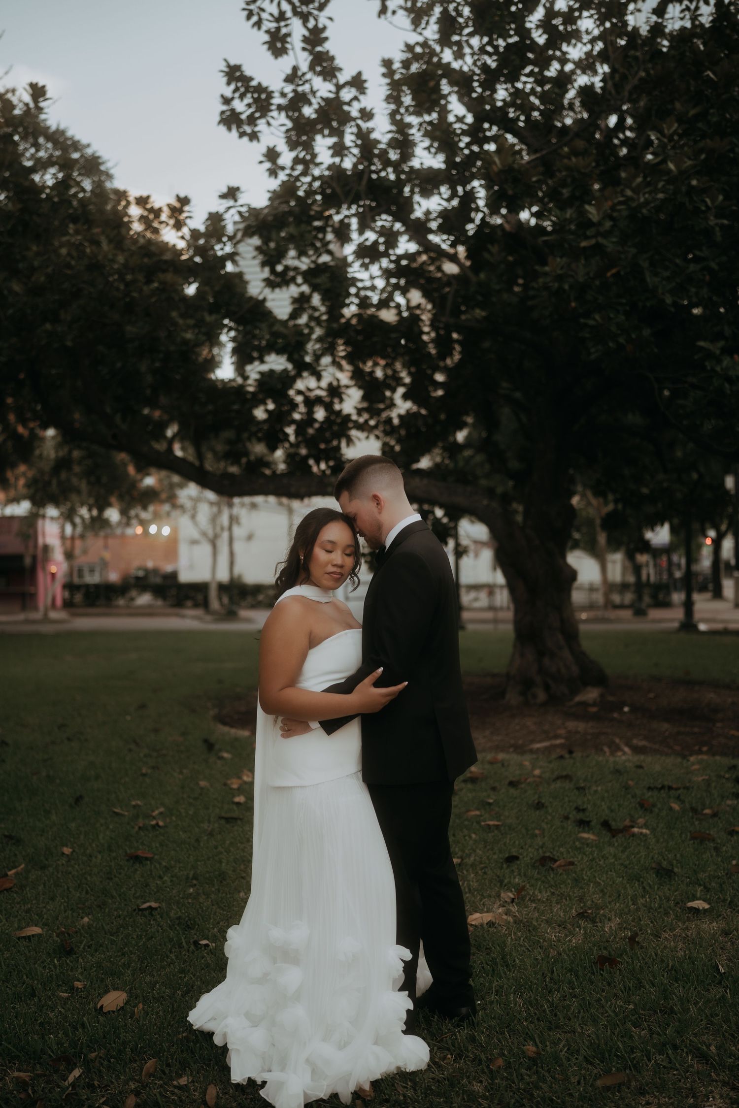 Elegant bride and groom embrace tenderly beneath large oak tree at golden hour sunset.