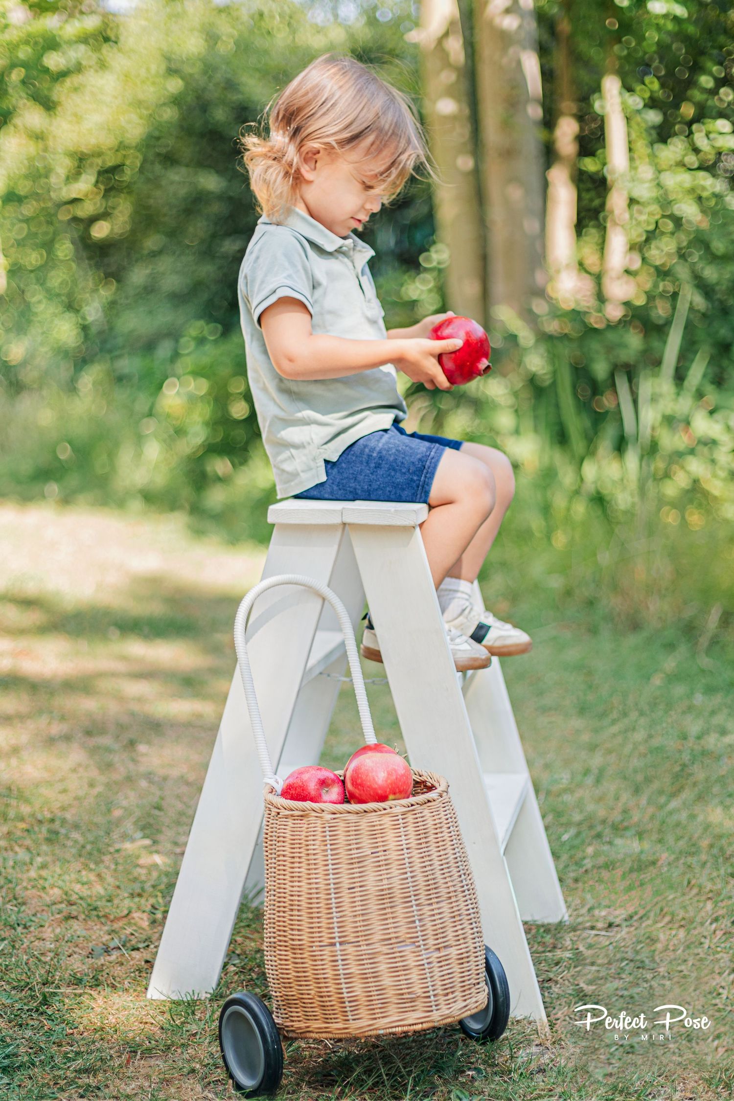Young child sitting on a white ladder holding red apples with a wicker basket below in a sunny garden.