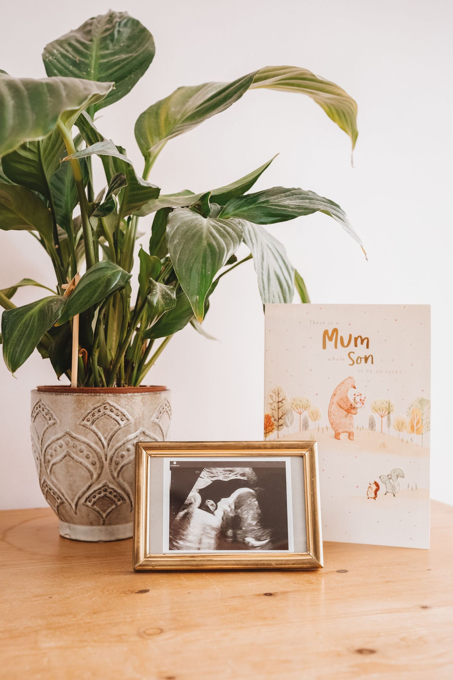 Framed baby ultrasound photo beside Mum and Son greeting card next to tropical houseplant on wooden table.