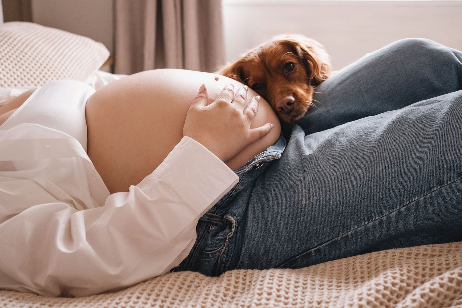 Pregnant woman in white shirt lying on bed with an adorable brown Cocker Spaniel puppy.