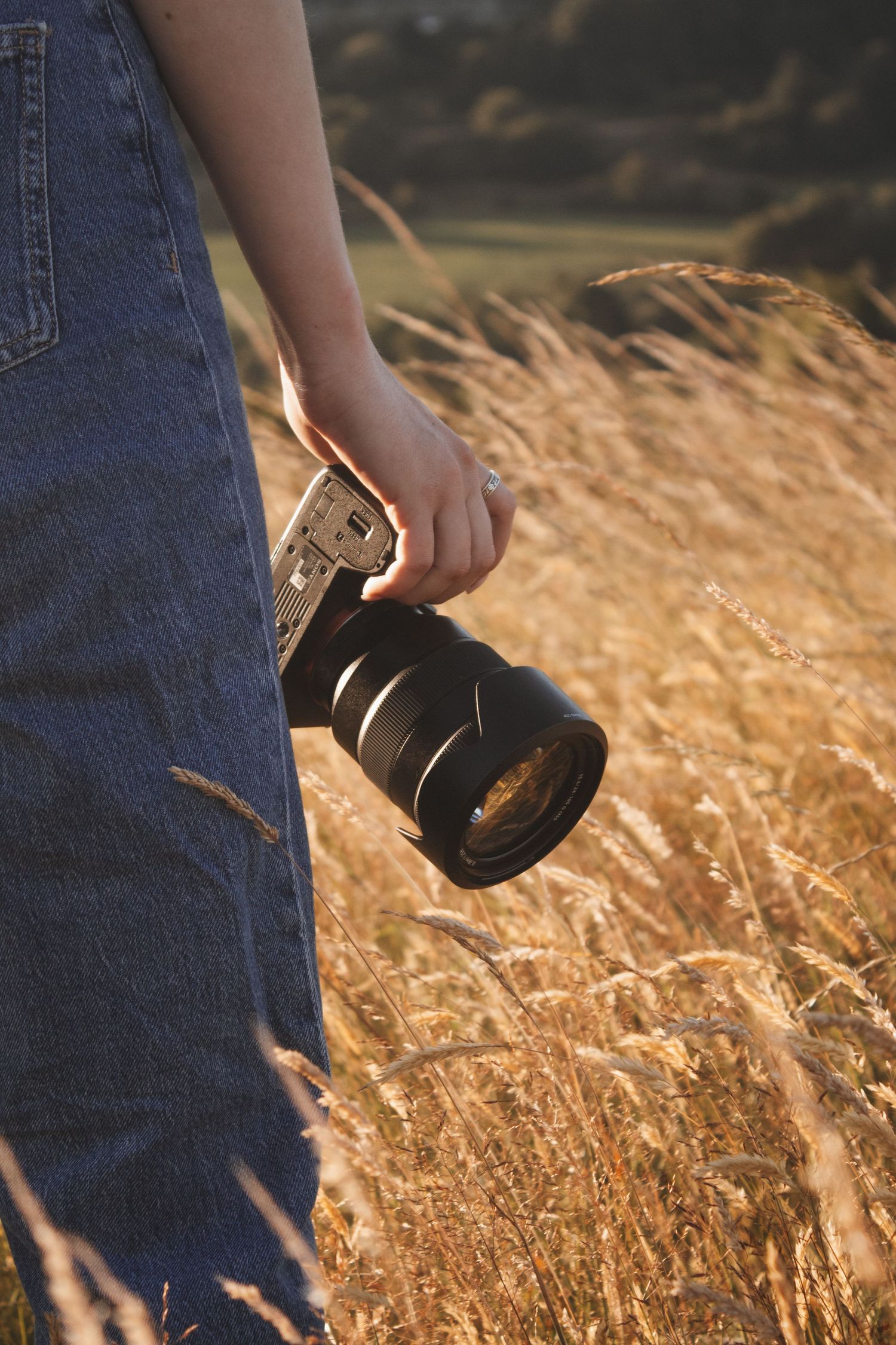 Close-up of hand holding Sony mirrorless camera in golden grass field at sunset.