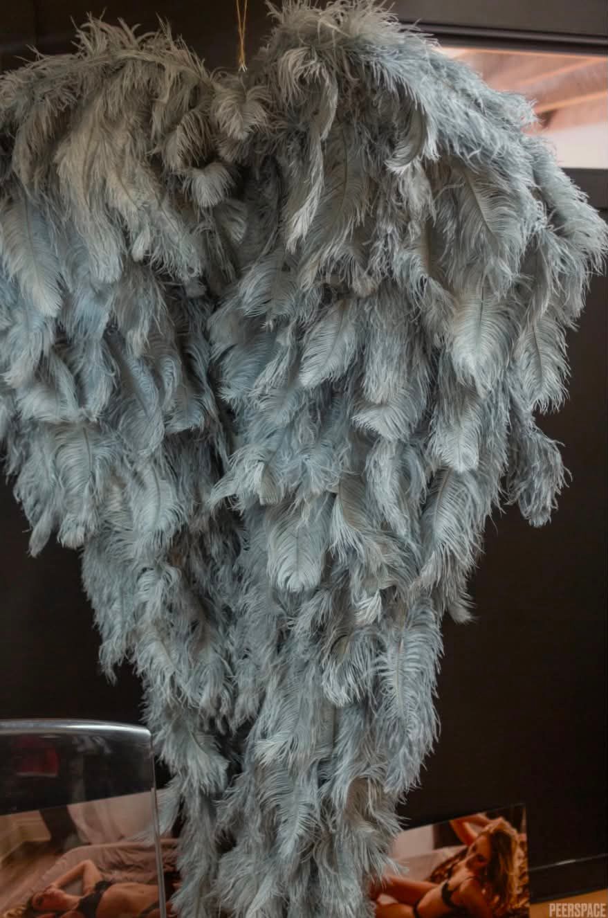 Grey angel wings for boudoir