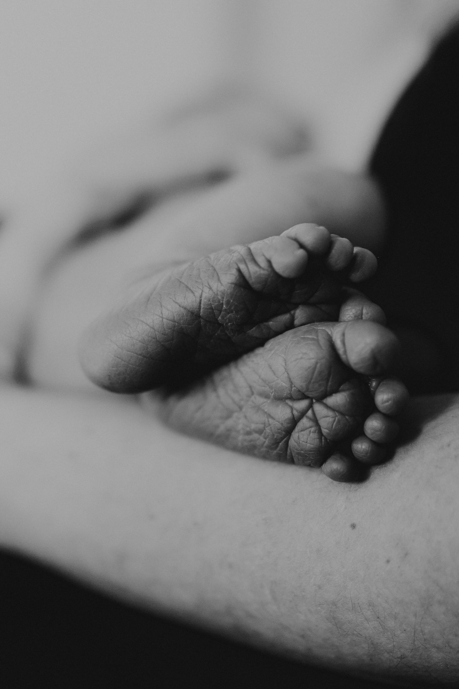 Black and white close-up photo of a newborn baby's tiny wrinkled feet resting on an adult's hand.