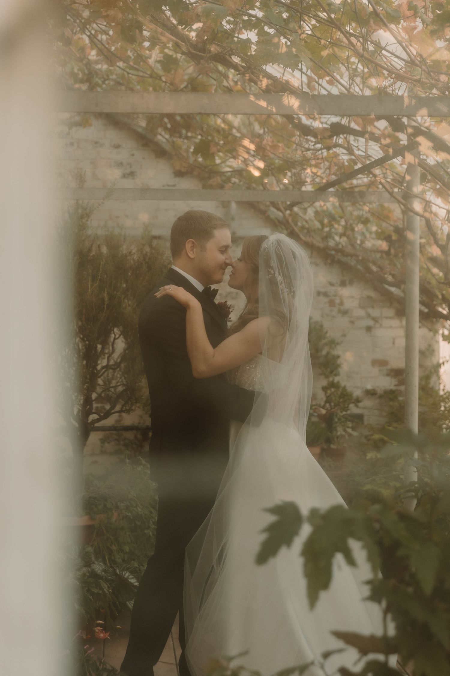 A bride and groom share a romantic embrace in a sunlit greenhouse garden, surrounded by lush foliage and autumn leaves.