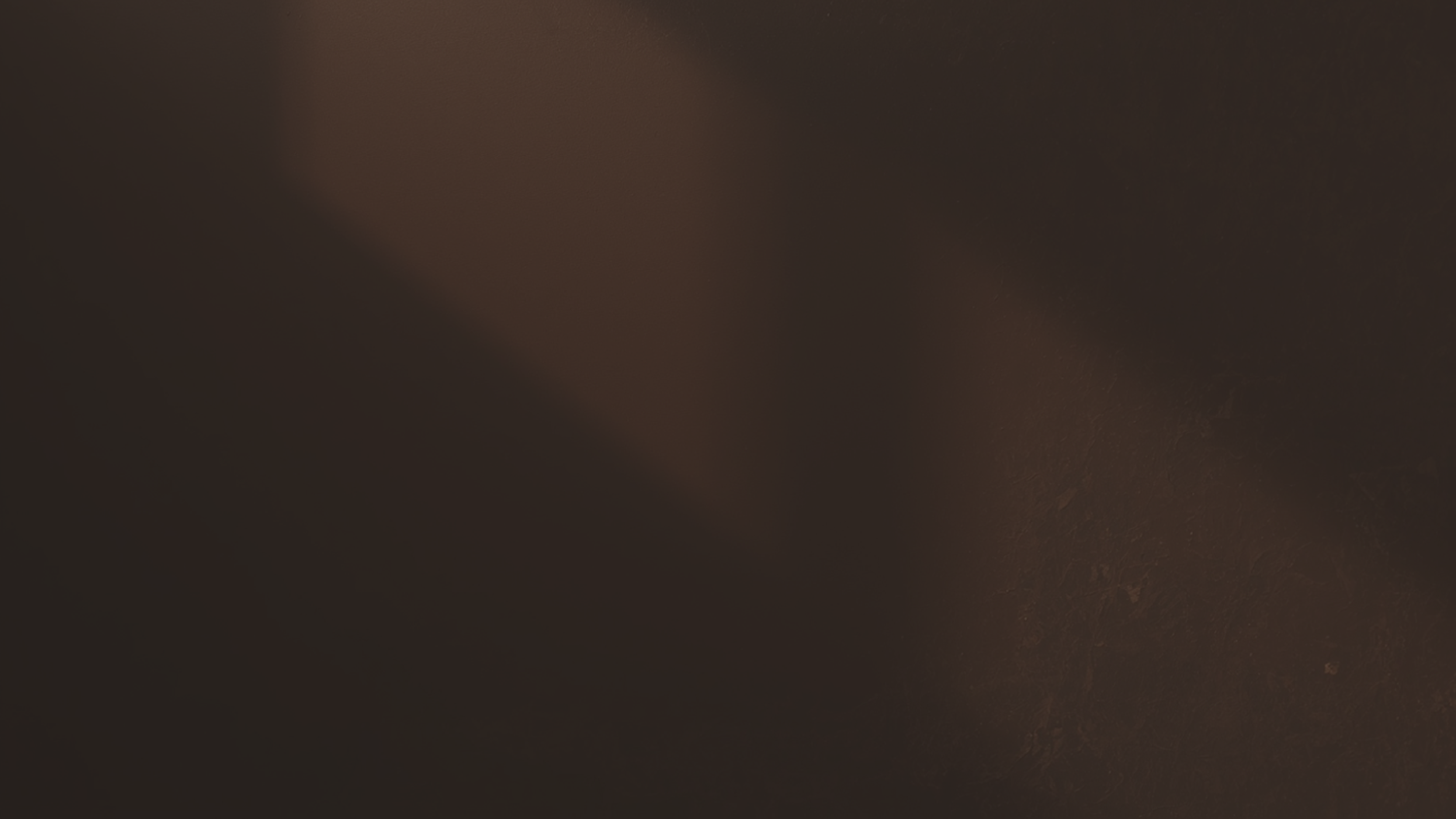 Dark moody brown textured wall with soft diagonal natural light streaks creating a warm atmosphere.