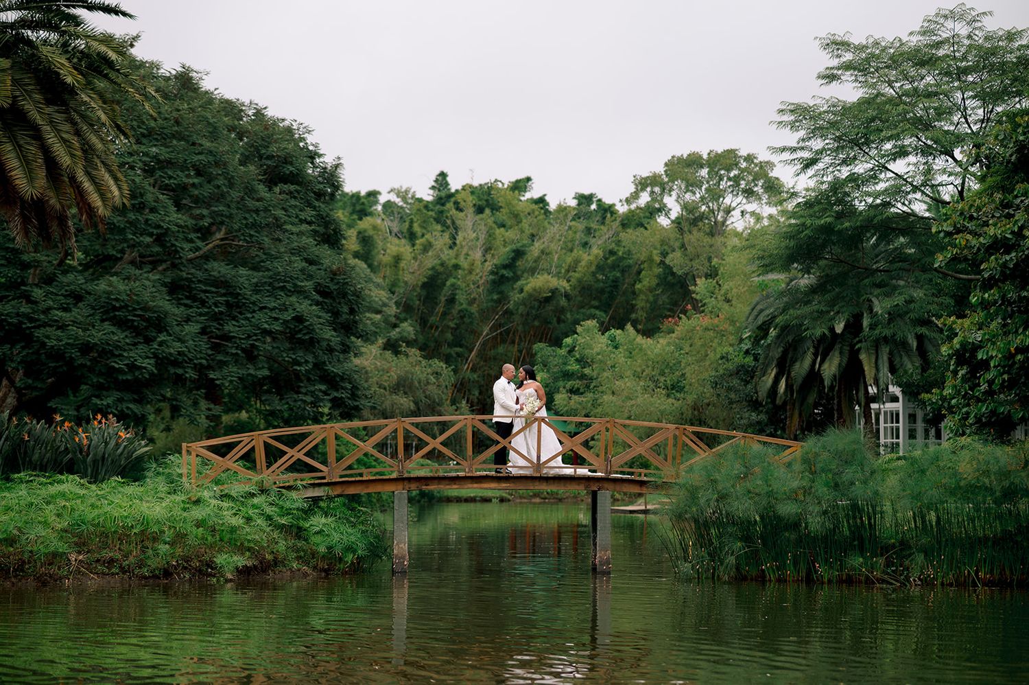 Couple embracing on a wooden bridge over a calm green lake surrounded by lush tropical trees.